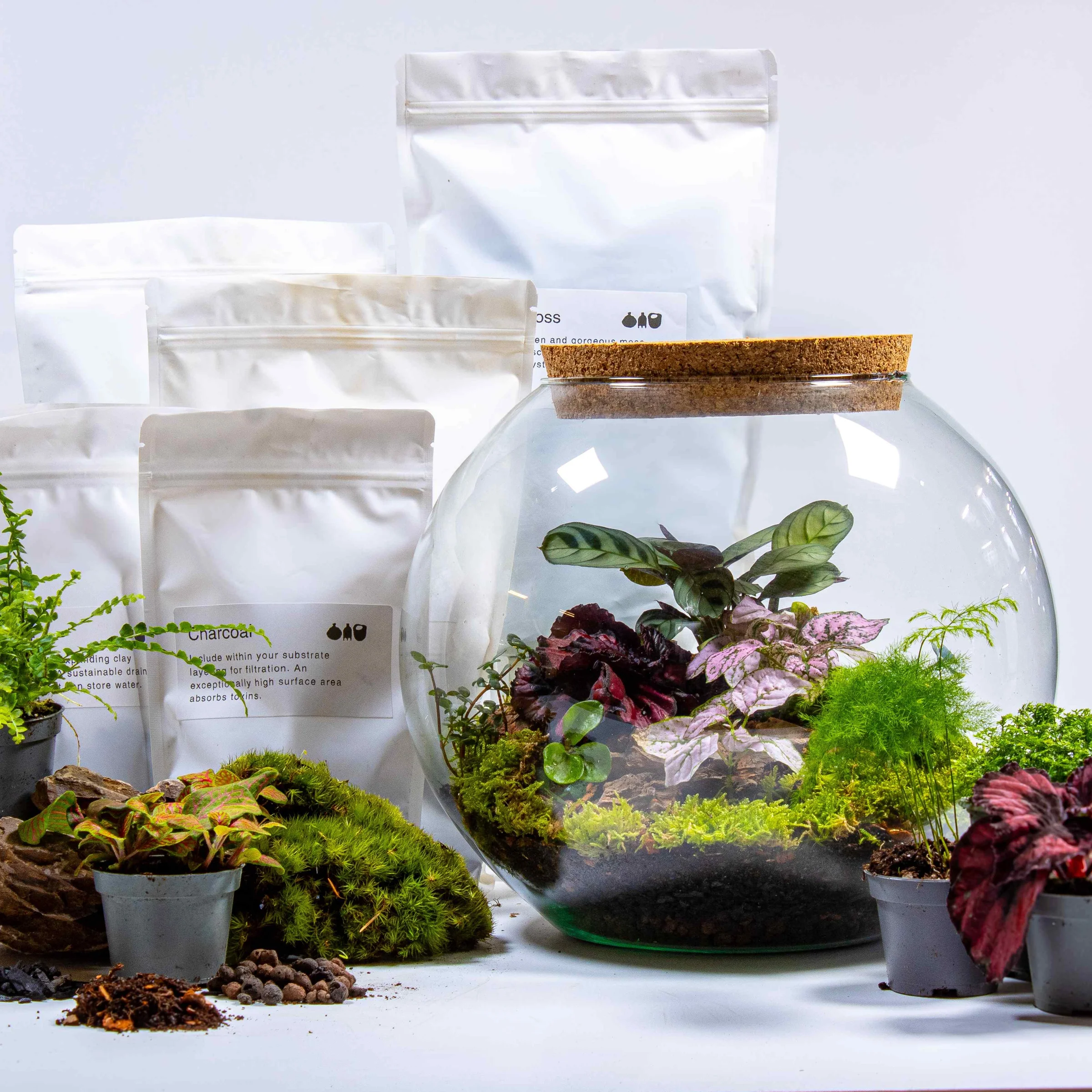 Bring Nature Home with Ome