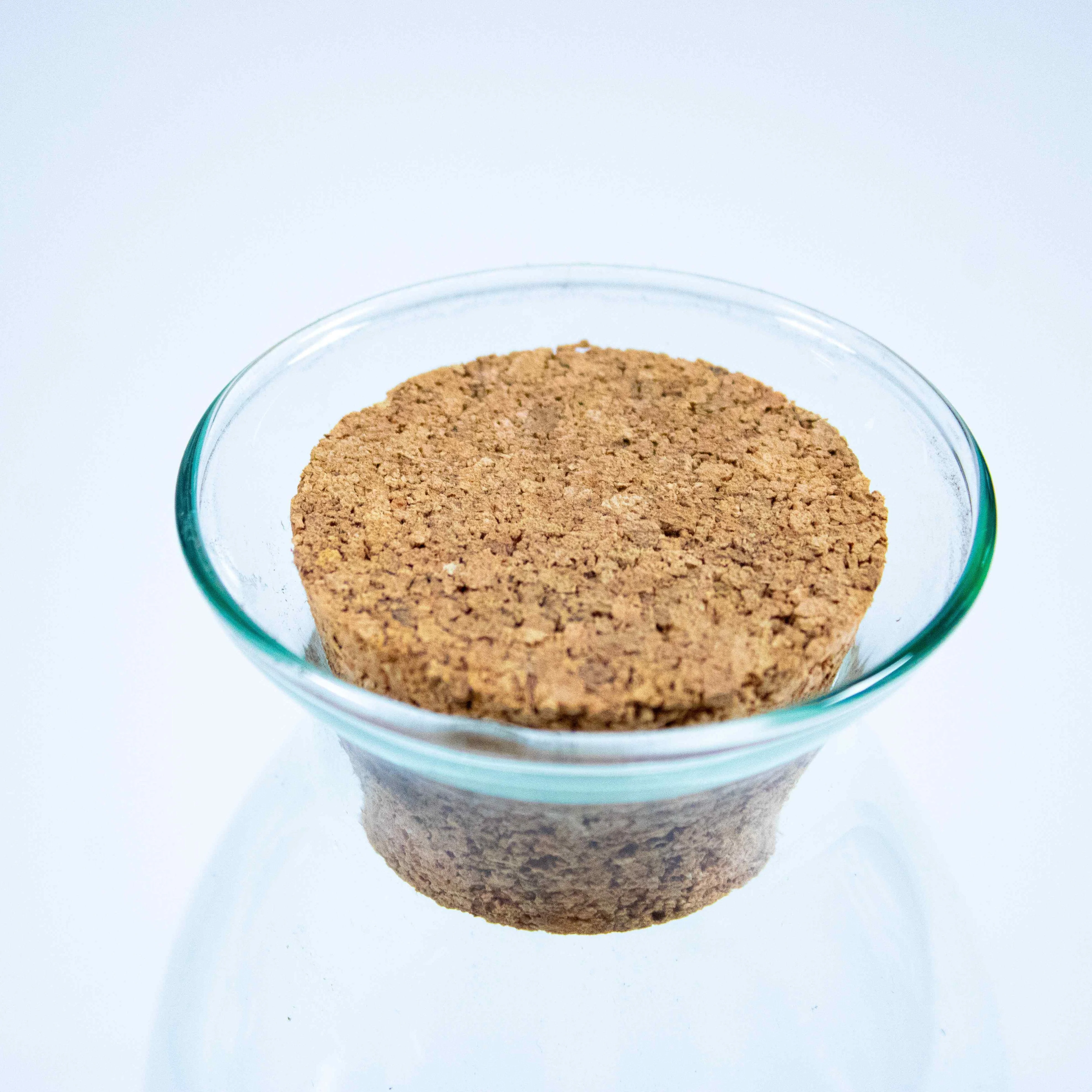 Bottle Terrarium Container - Image 3