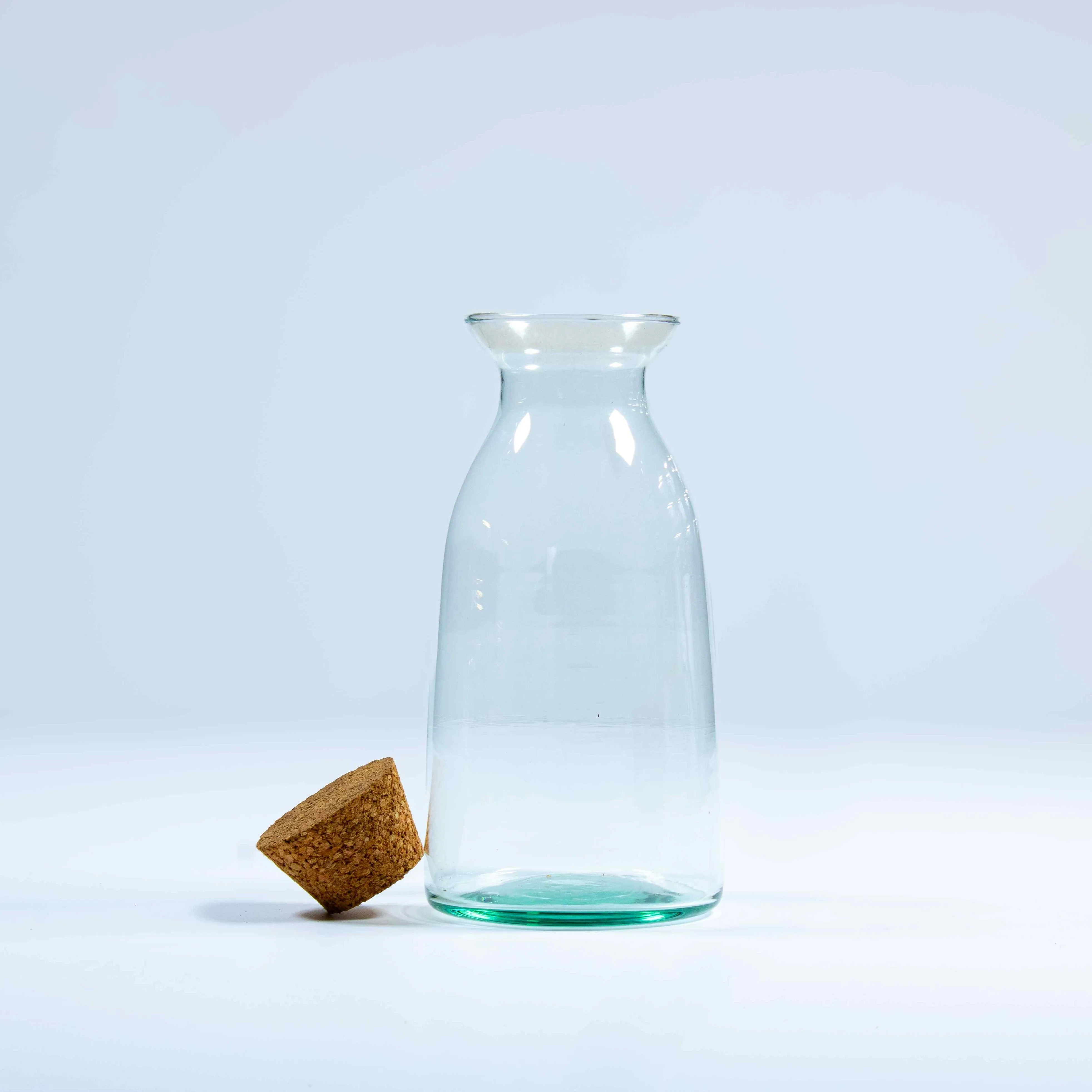 Bottle Terrarium Container - Image 4