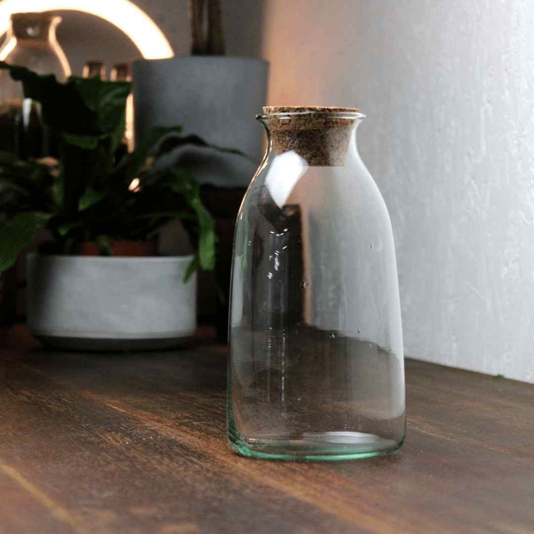 Bottle Terrarium Container - Image 5