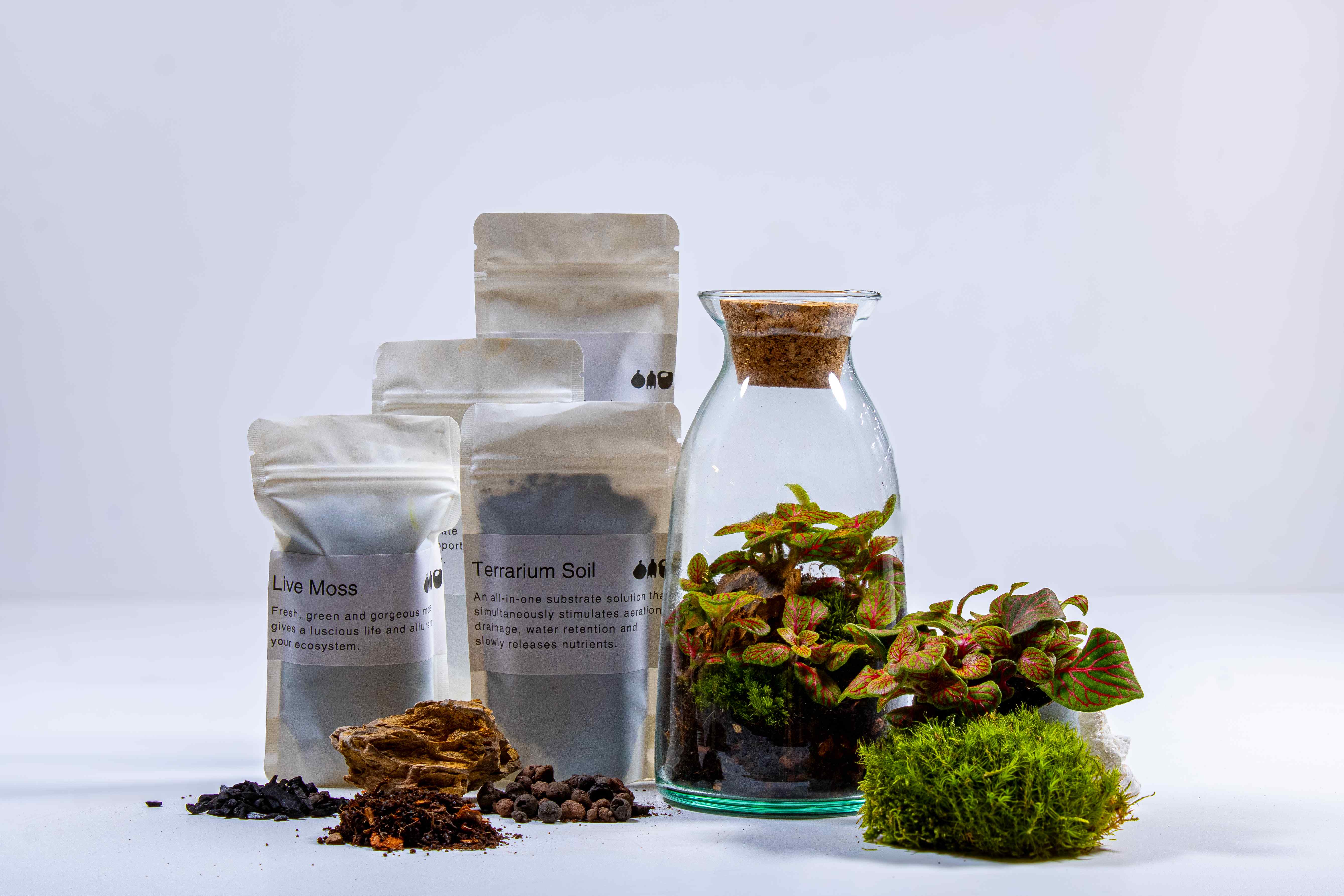 Bottle Terrarium Kit - Image 2