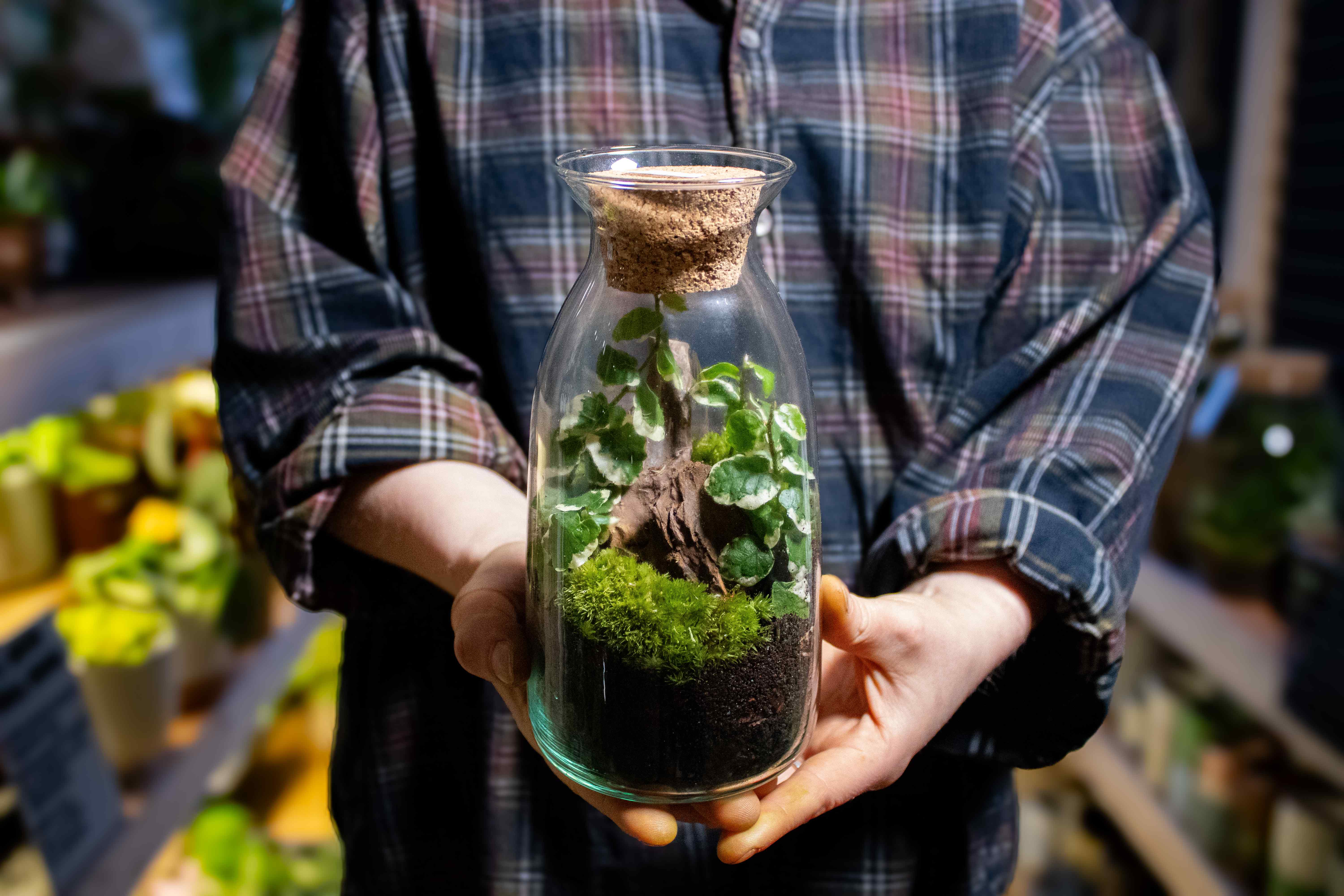 Bottle Terrarium Kit - Image 7