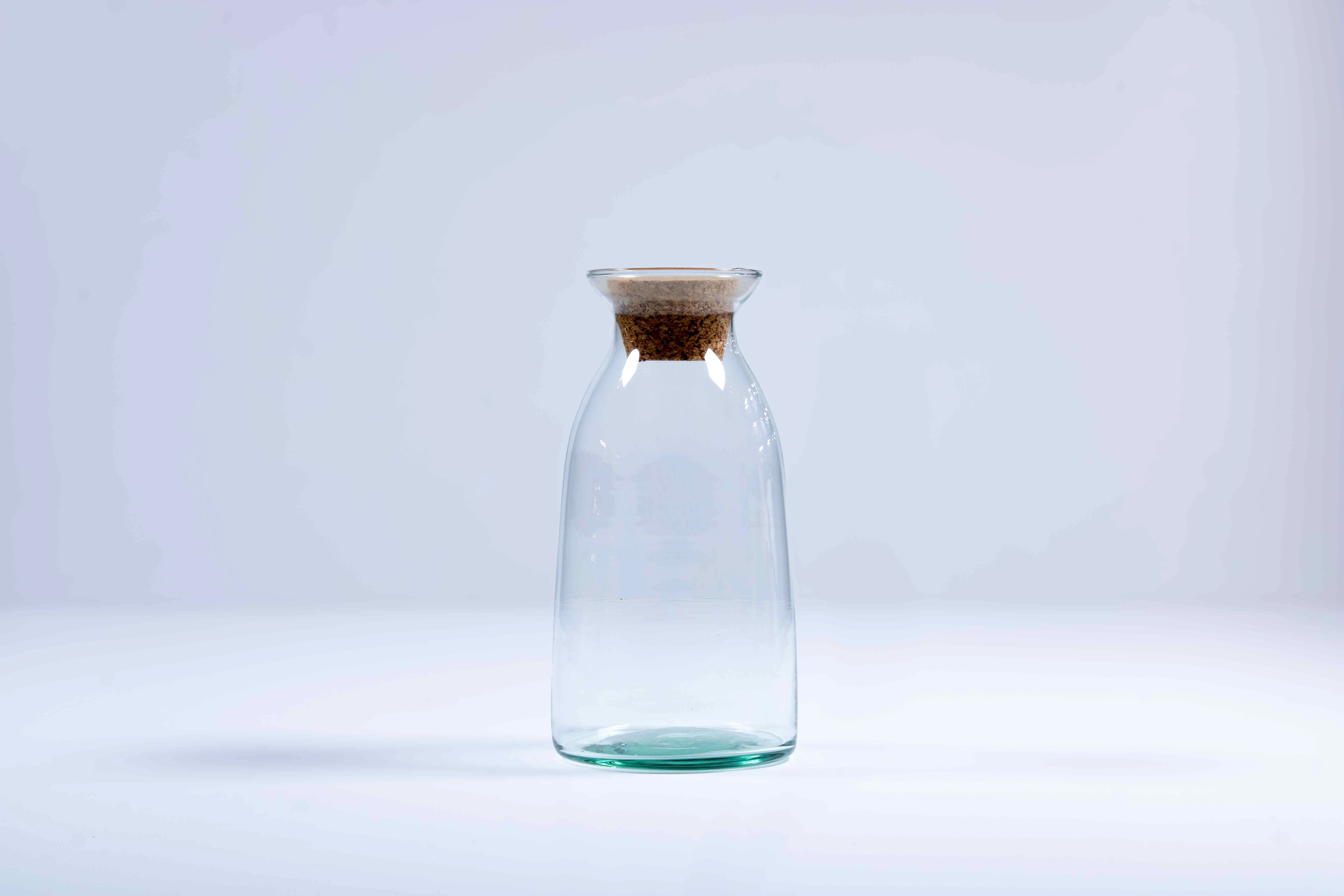 Bottle Terrarium Kit - Image 9