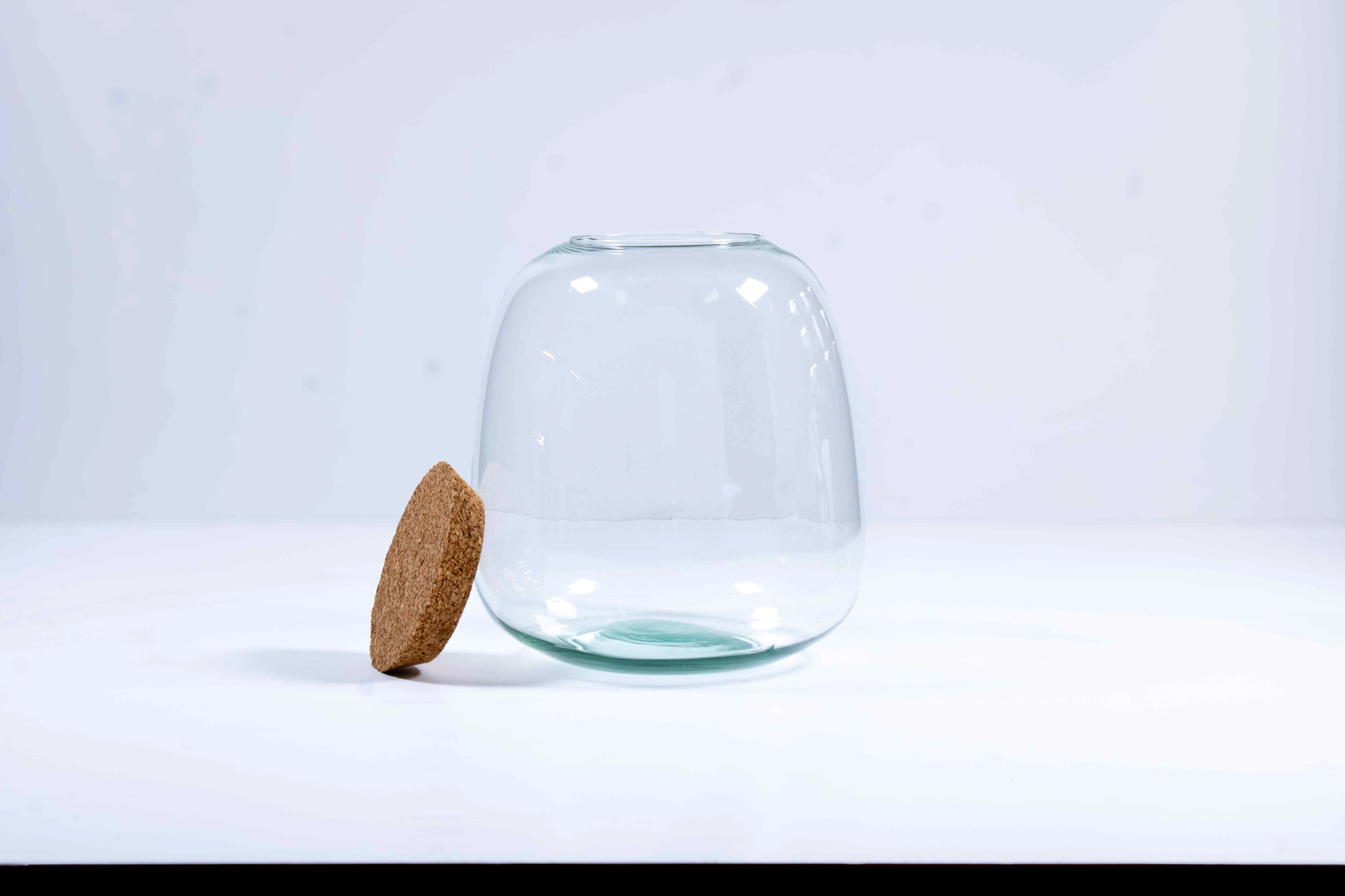 Bulb Terrarium Container - Image 3