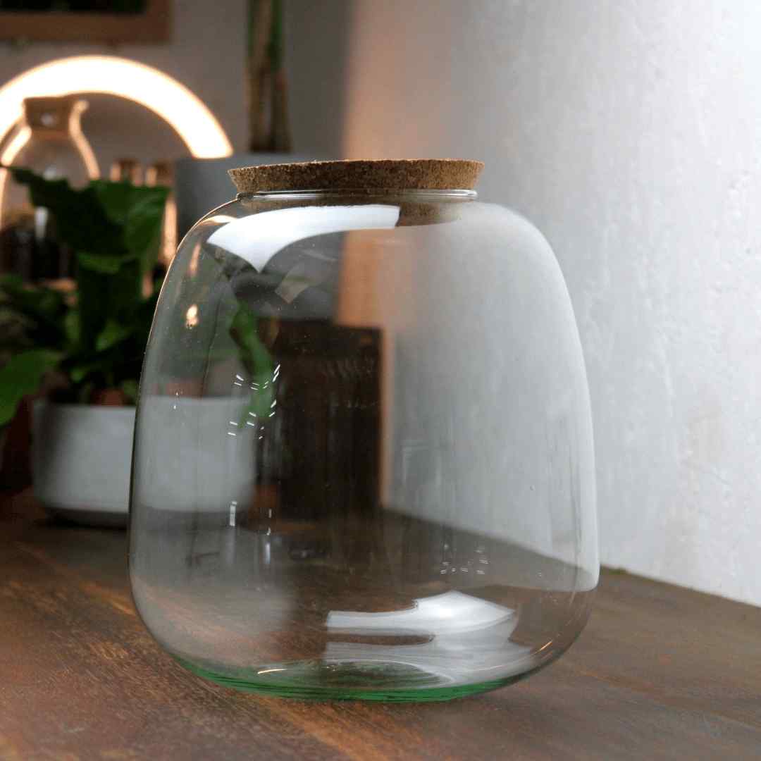 Bulb Terrarium Container - Image 4