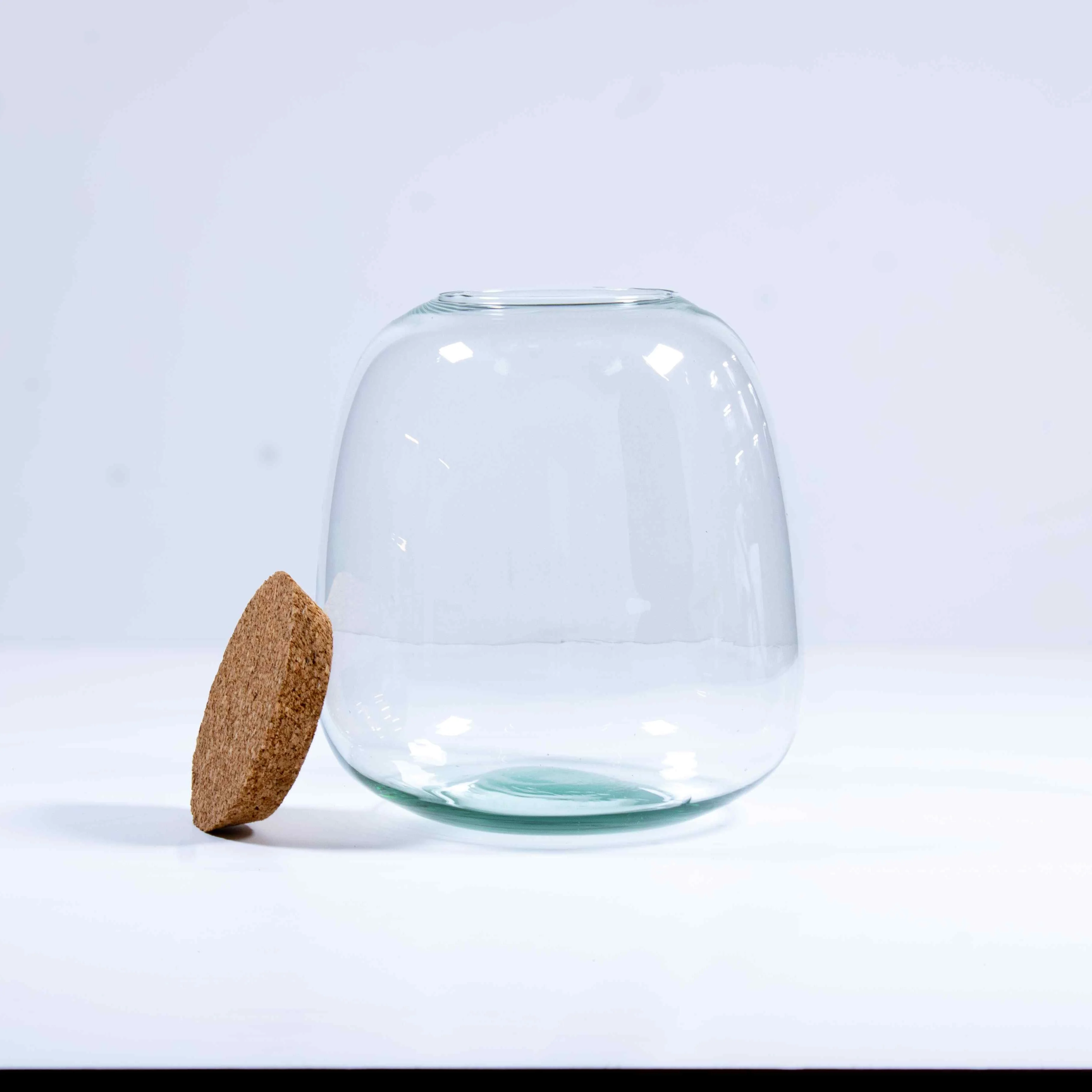 Bulb Terrarium Kit - Image 10