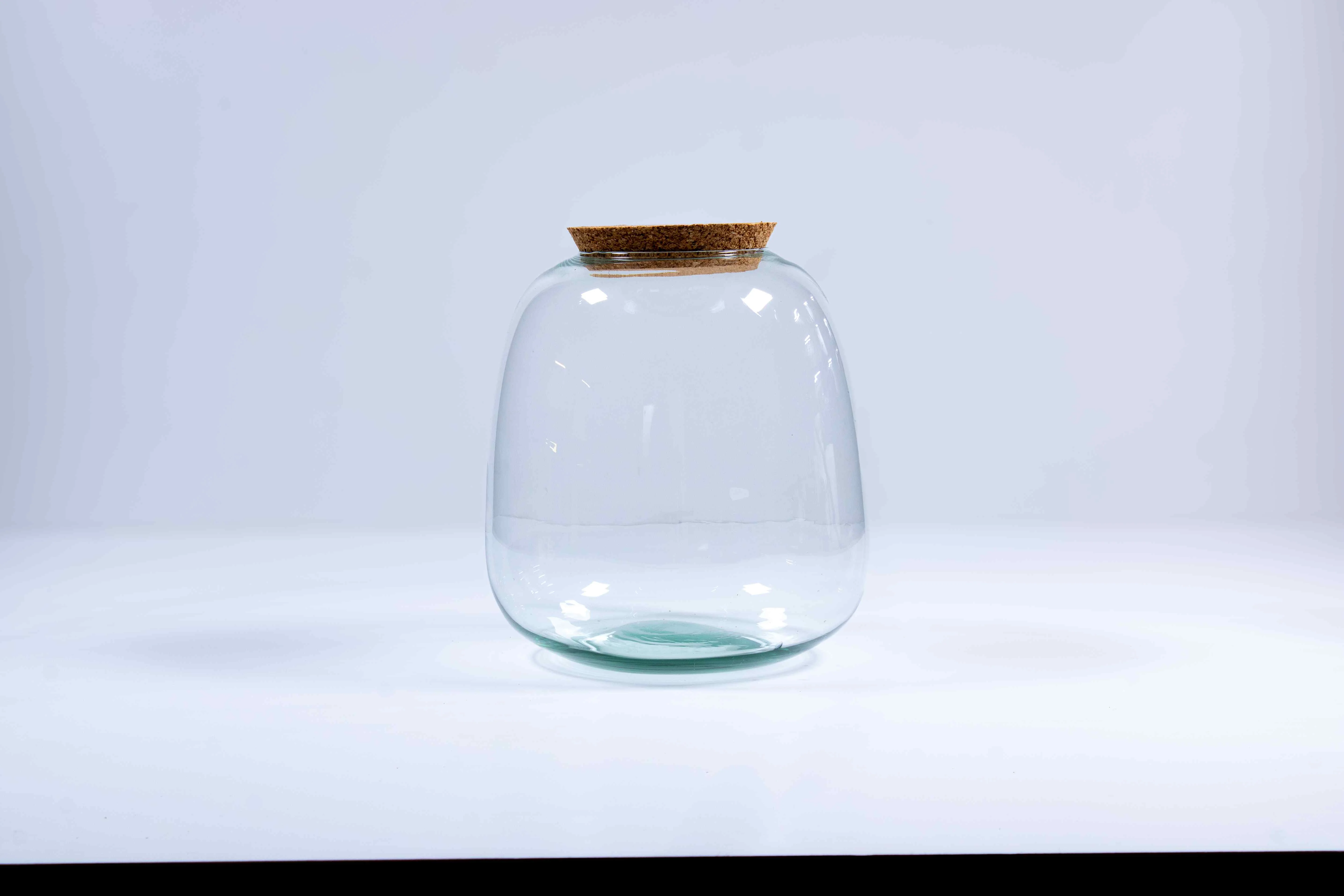 Bulb Terrarium Kit - Image 11