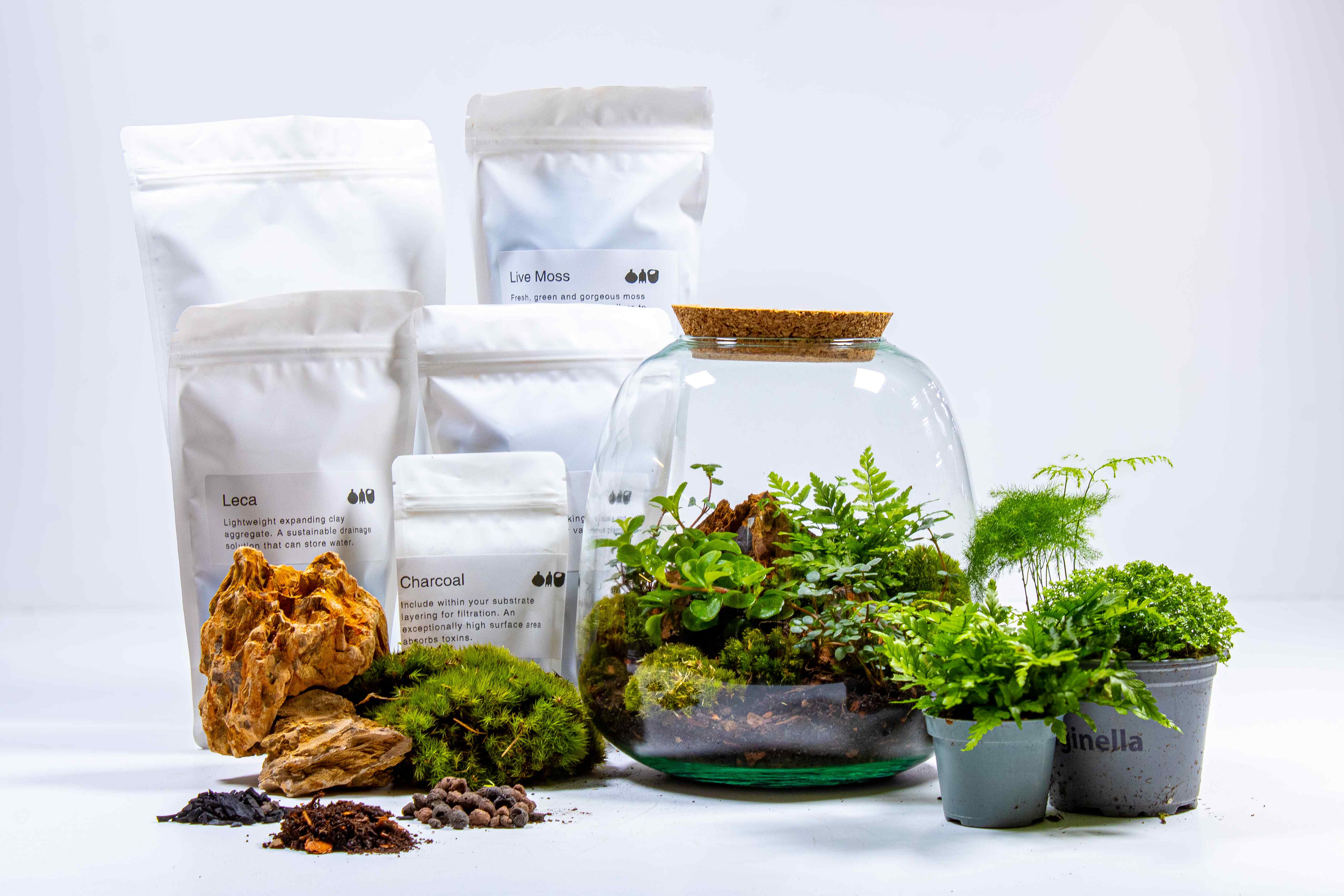 Bulb Terrarium Kit - Image 12