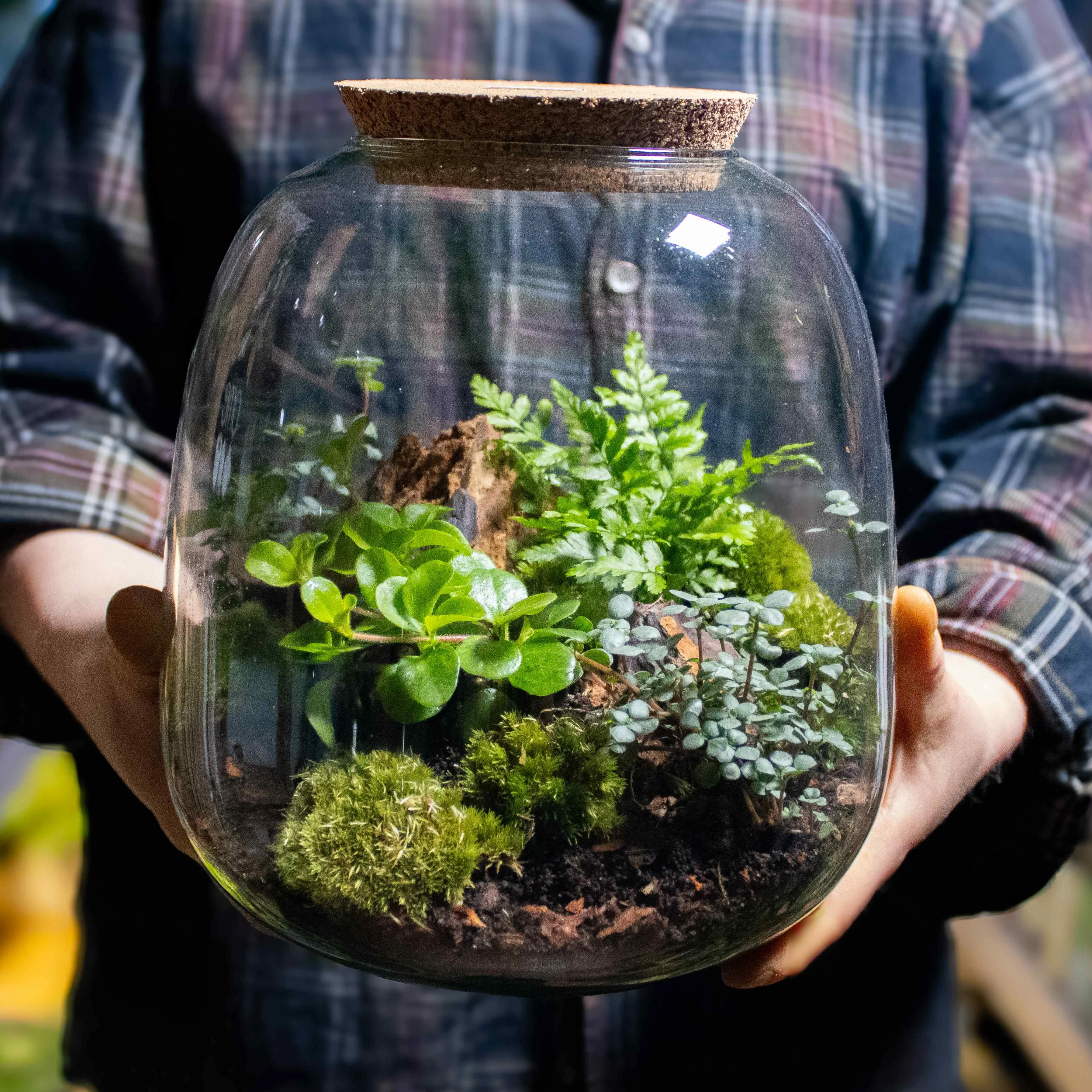 Bulb Terrarium Kit - Image 6