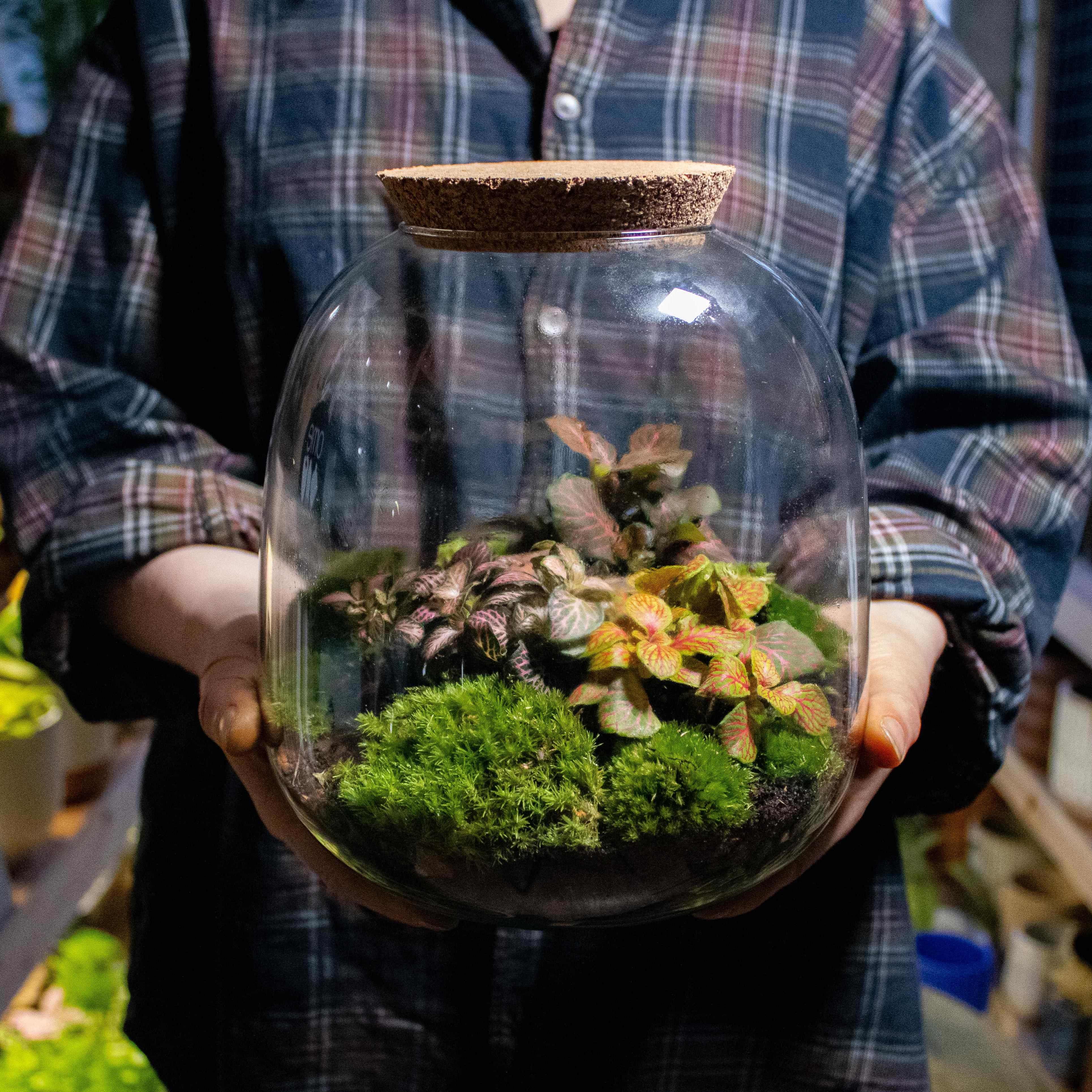 Bulb Terrarium Kit - Image 7