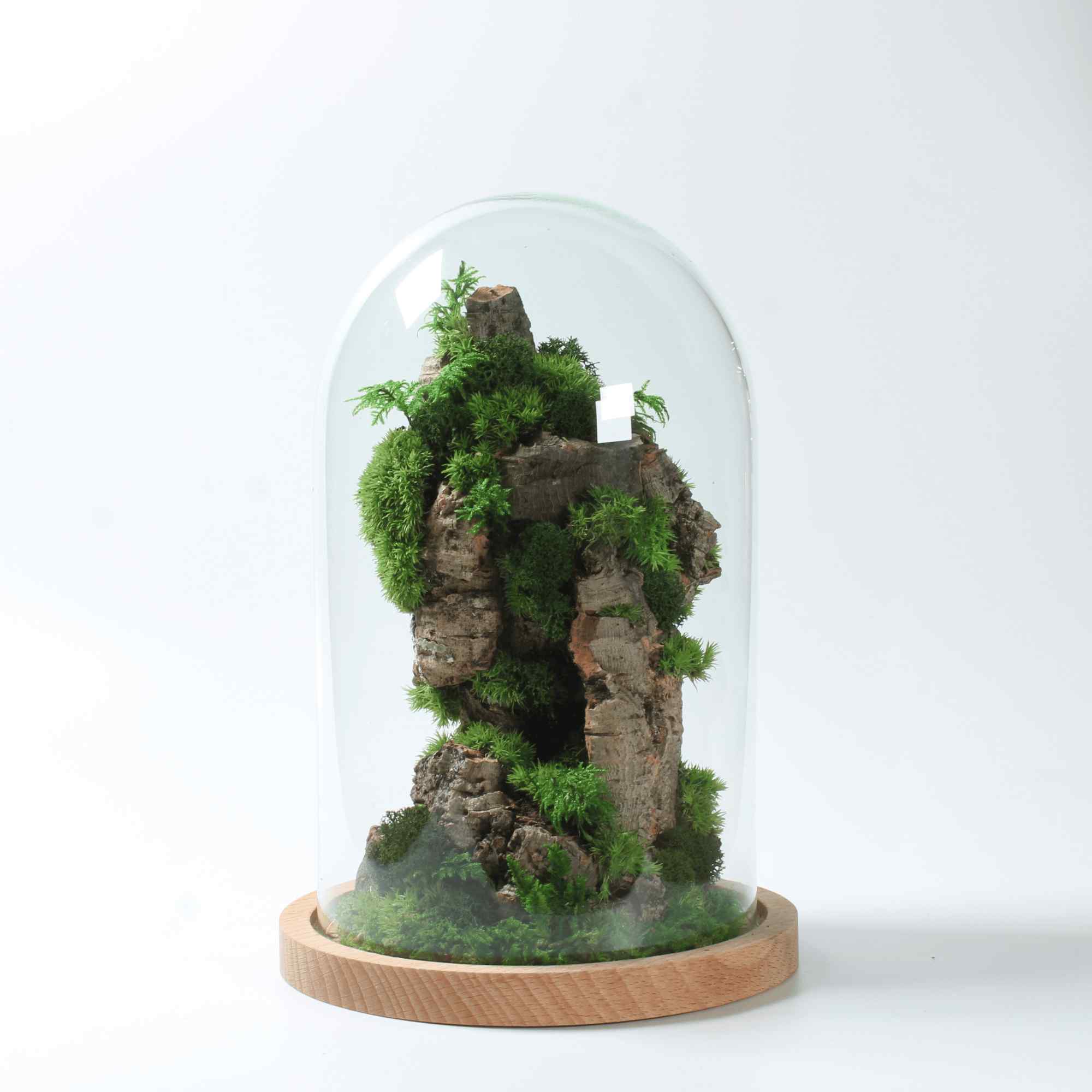 Moss Art