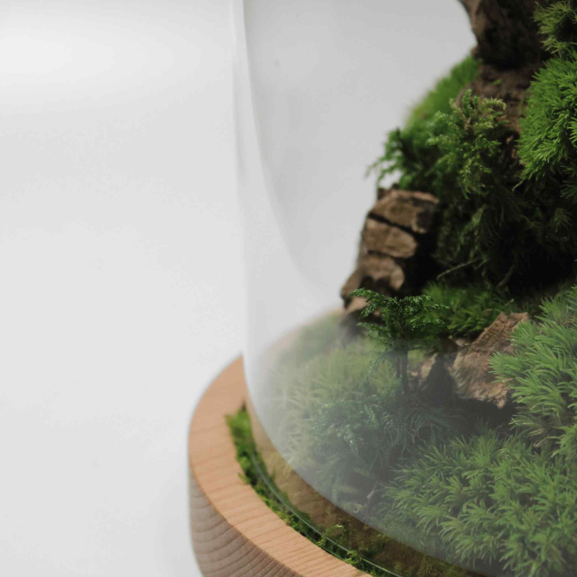 Cloche - Image 4
