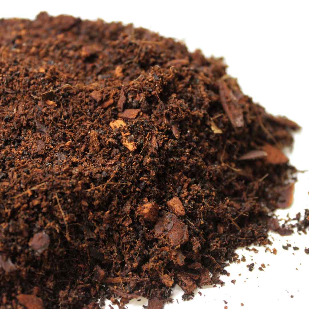 Coco Coir - Image 3
