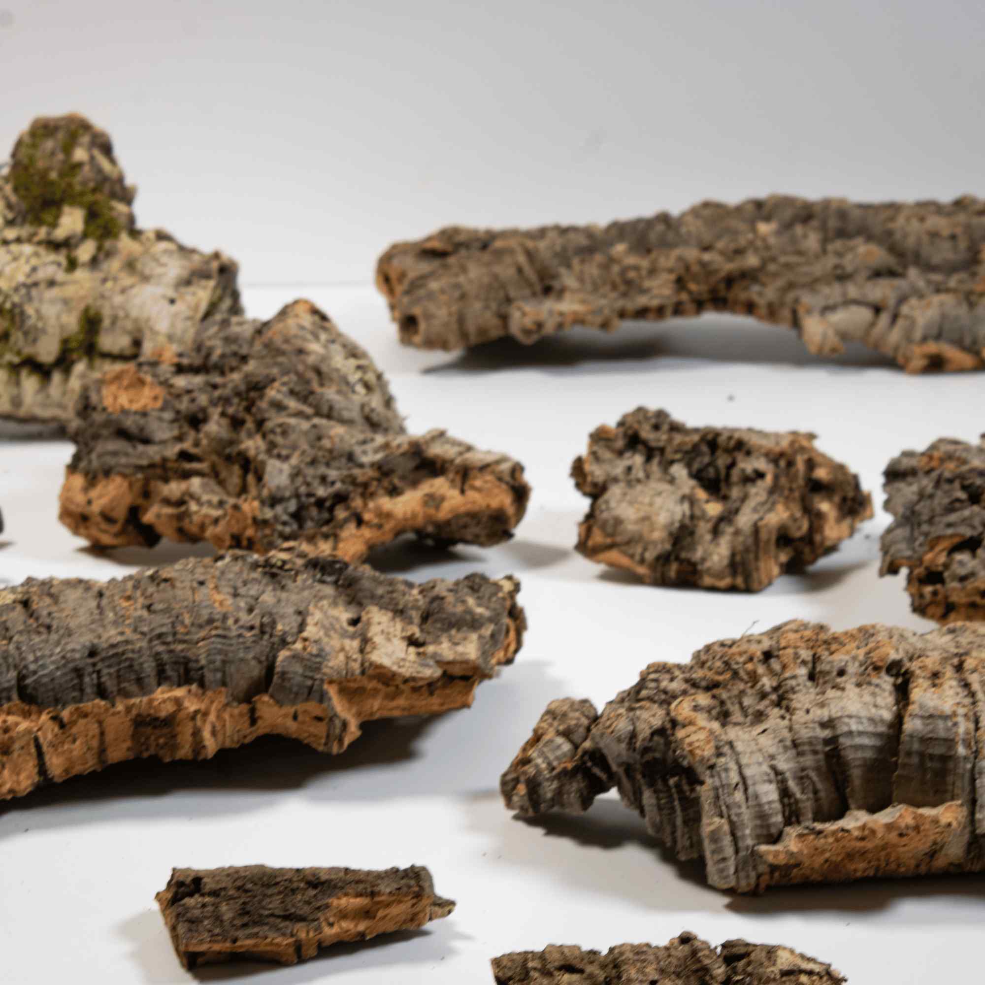 Cork Bark - Image 2