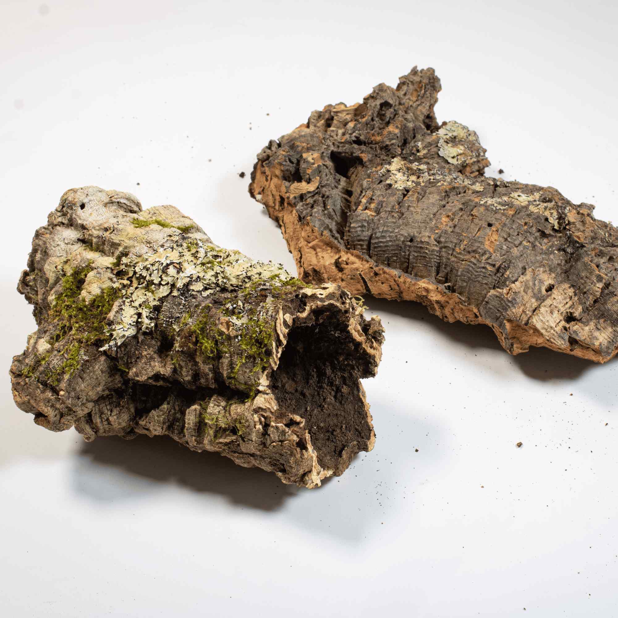 Cork Bark - Image 4
