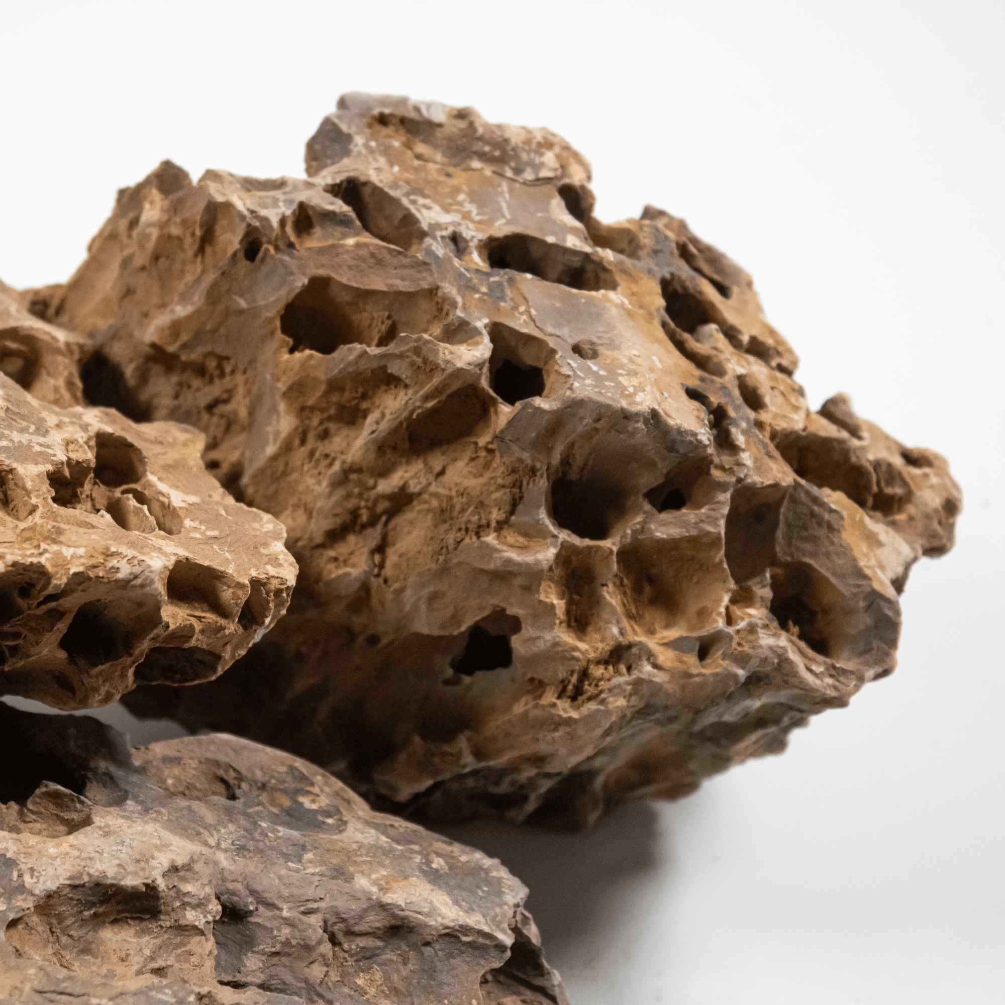 Dragon Stone - Image 2