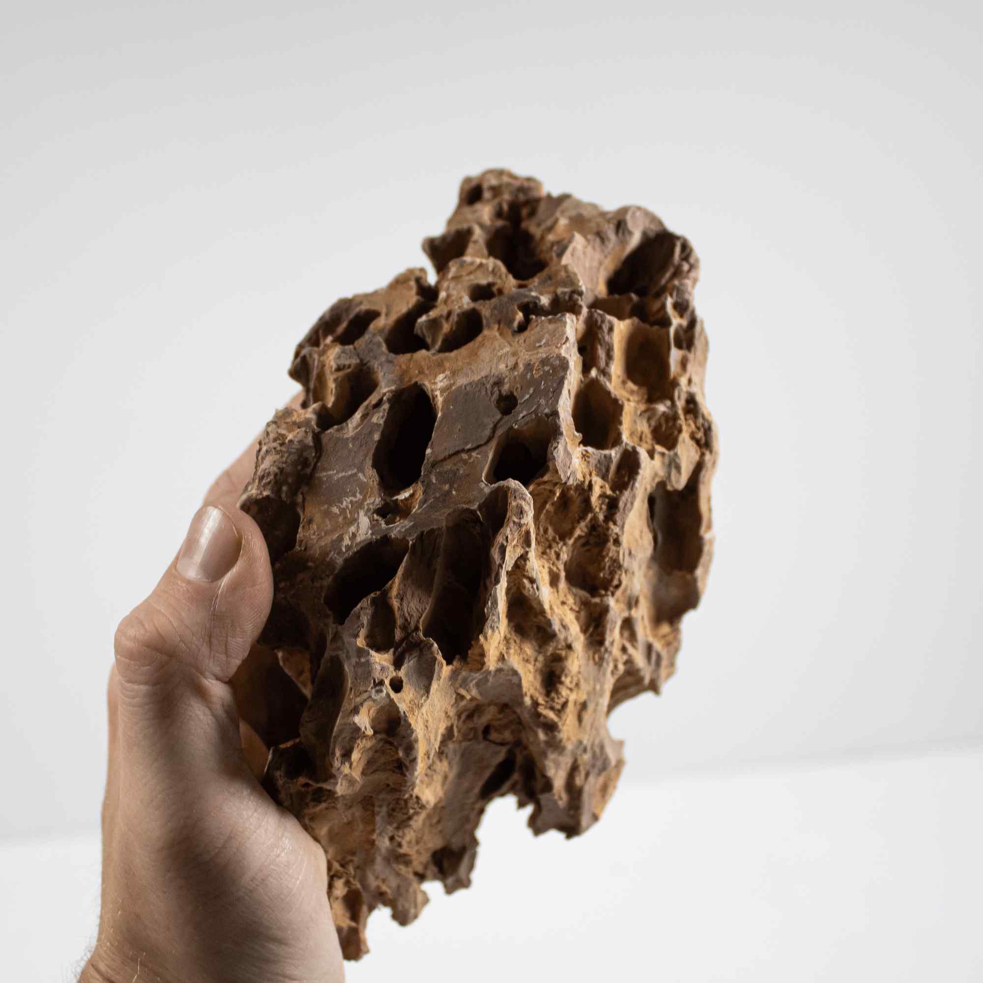 Dragon Stone - Image 3