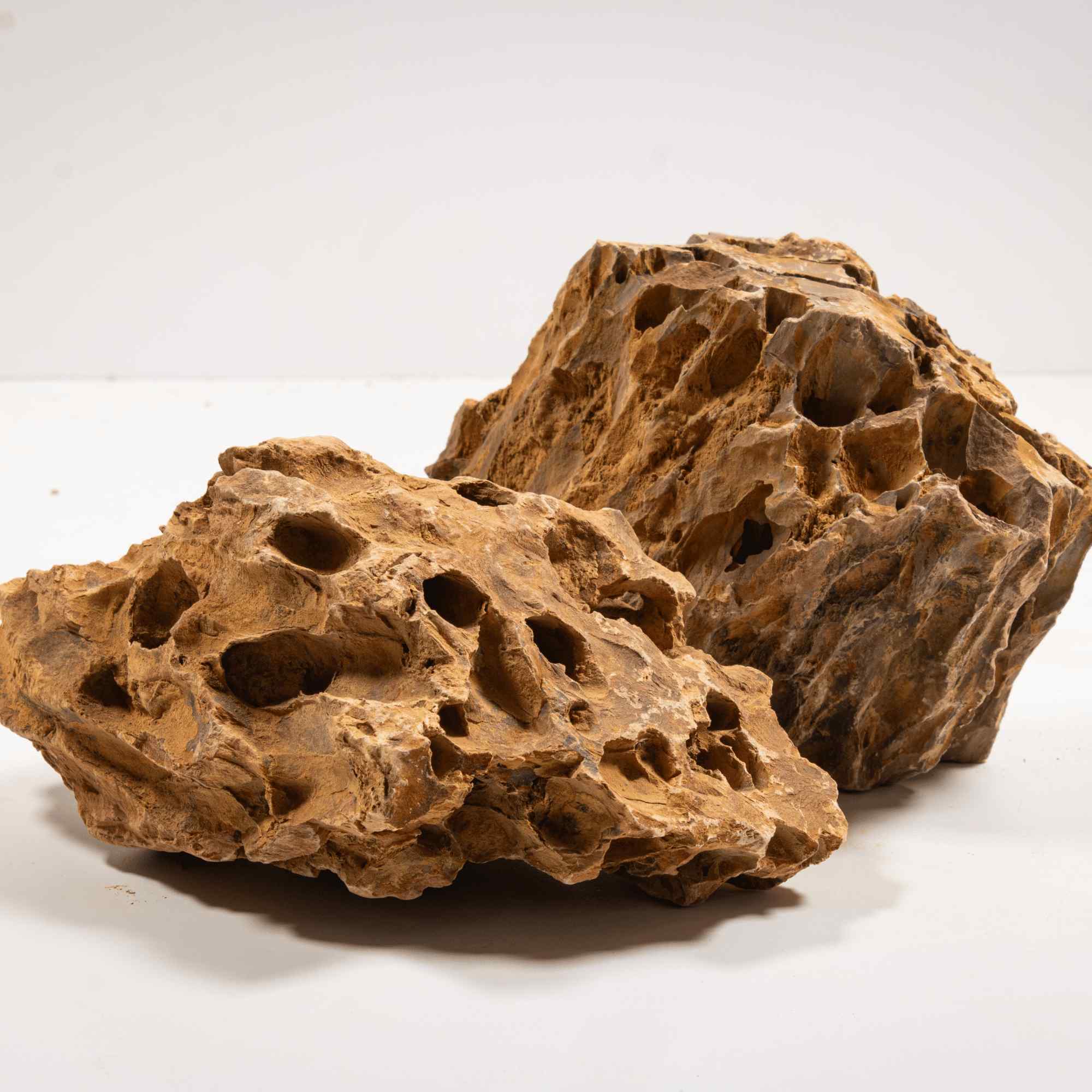 Dragon Stone - Image 4