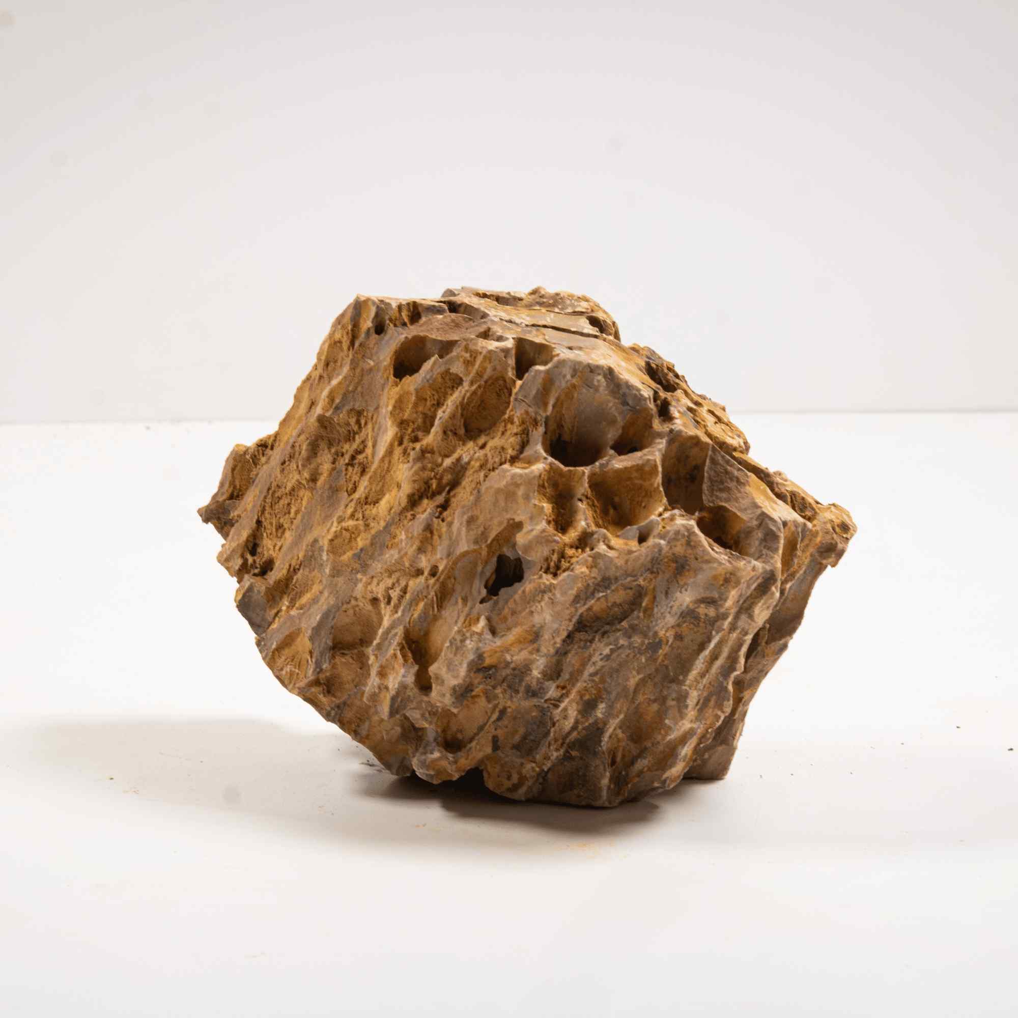 Dragon Stone - Image 5