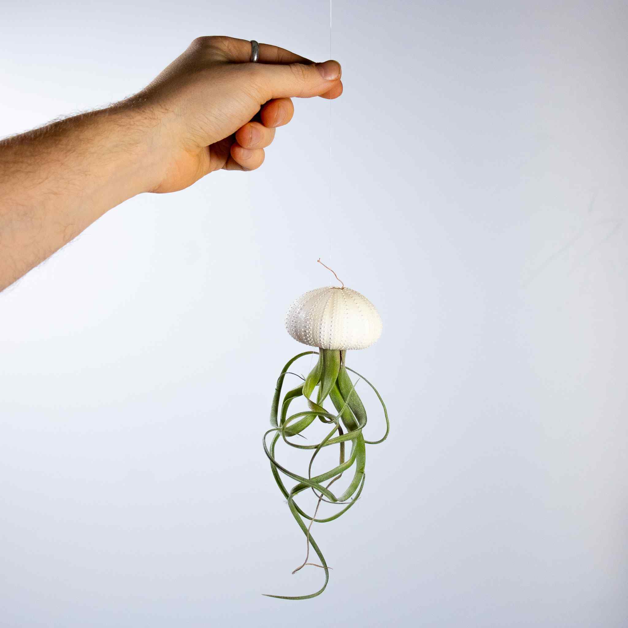 3 x Floating Jellyfish Hangers - Image 3