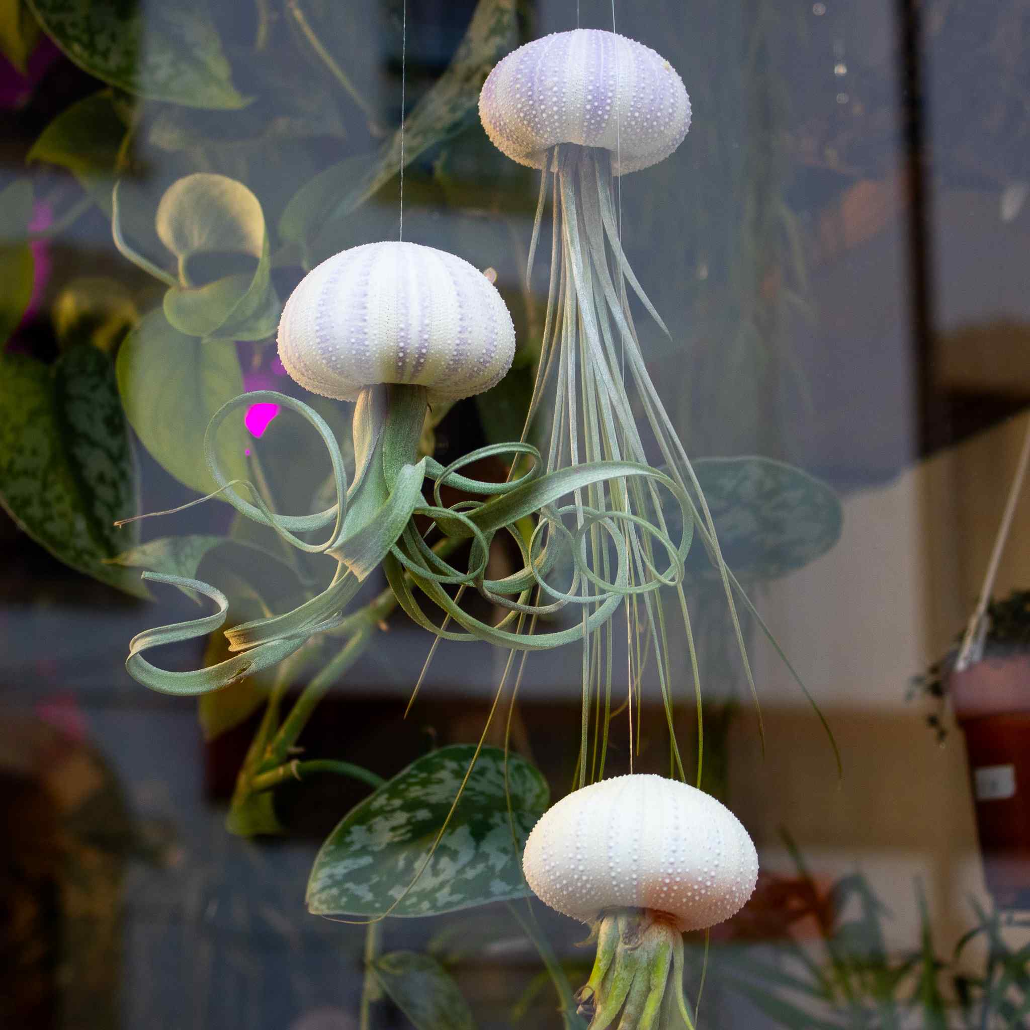 3 x Floating Jellyfish Hangers - Image 4