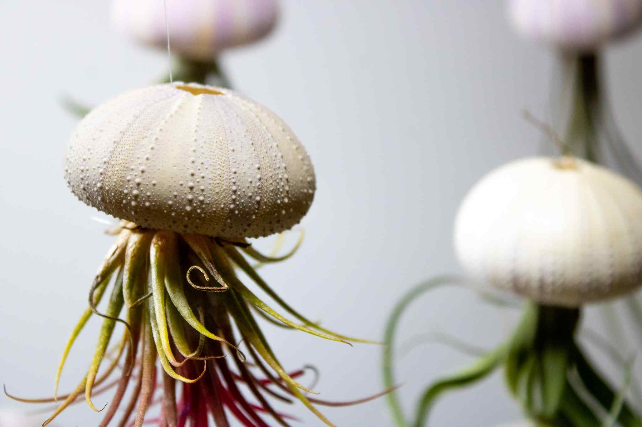 3 x Floating Jellyfish Hangers - Image 6