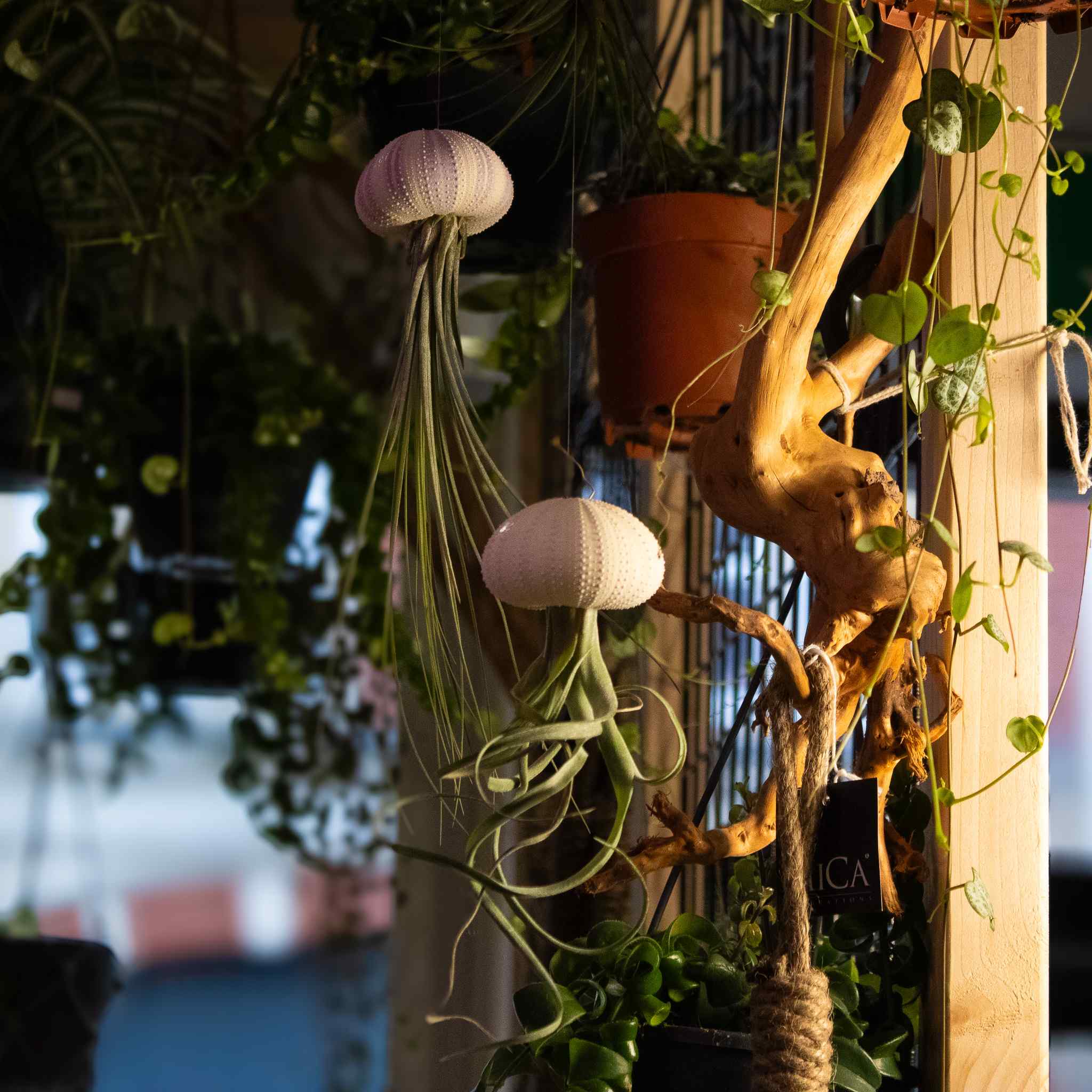 3 x Floating Jellyfish Hangers - Image 8