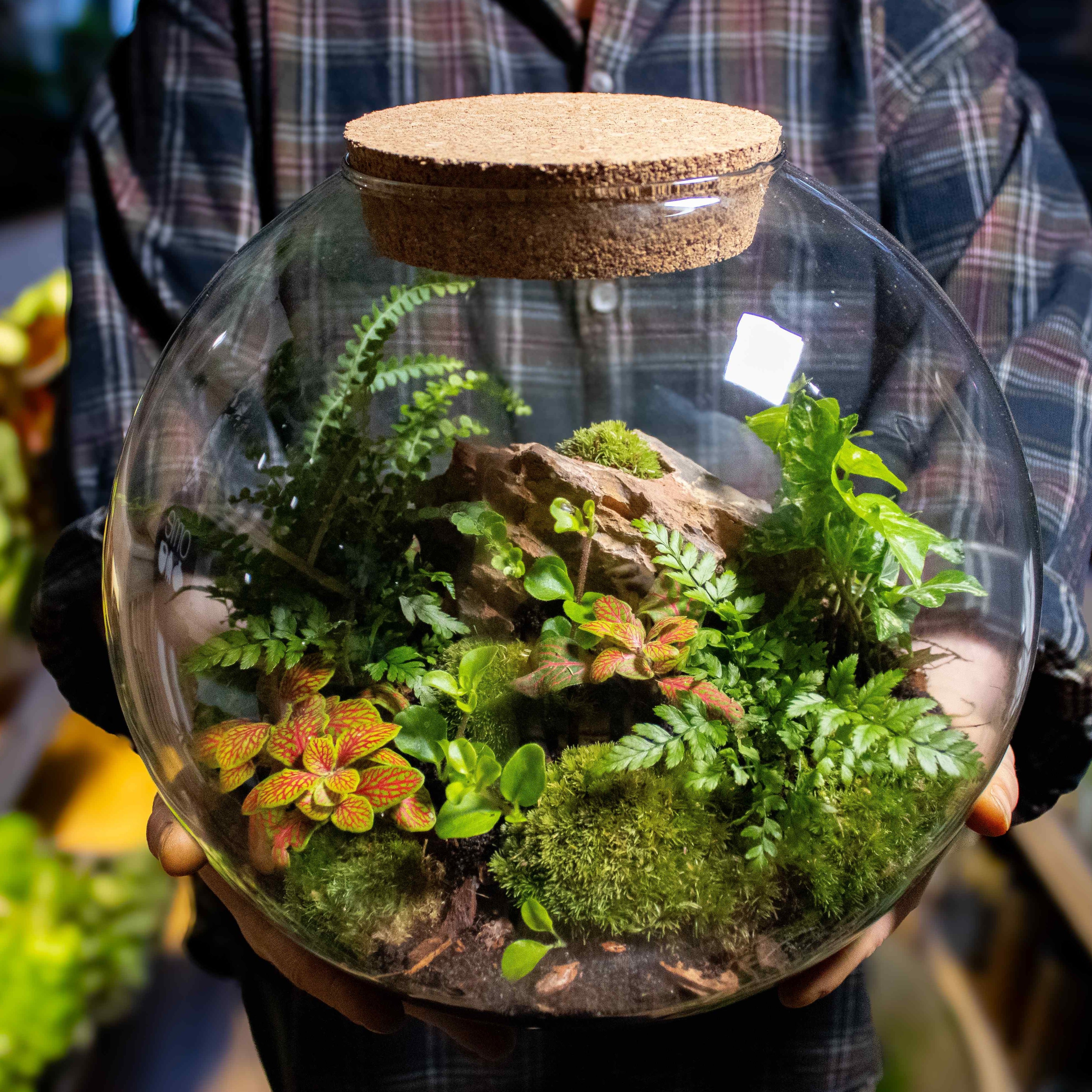 Globe Terrarium Kit - Image 3