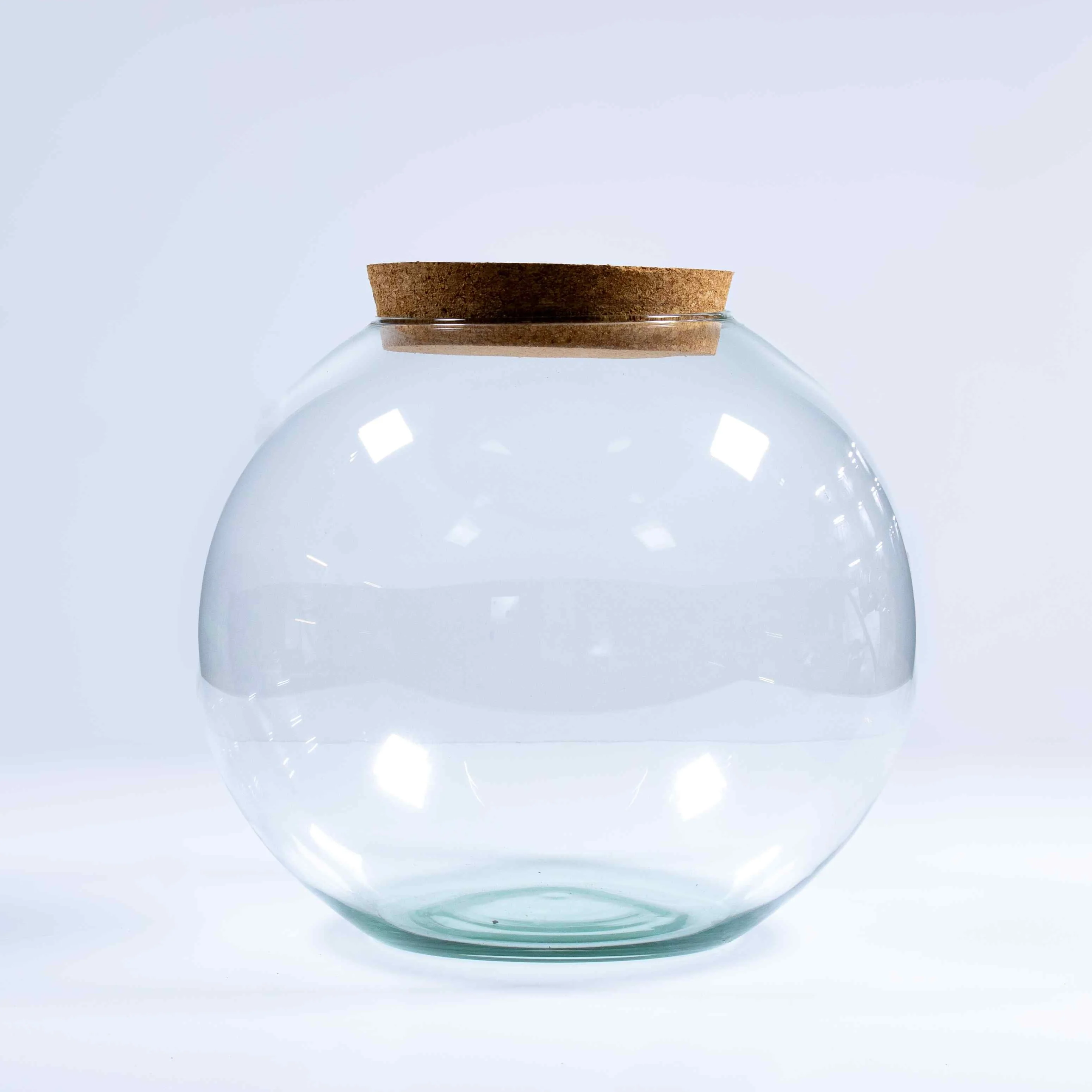 Globe Terrarium Kit - Image 7