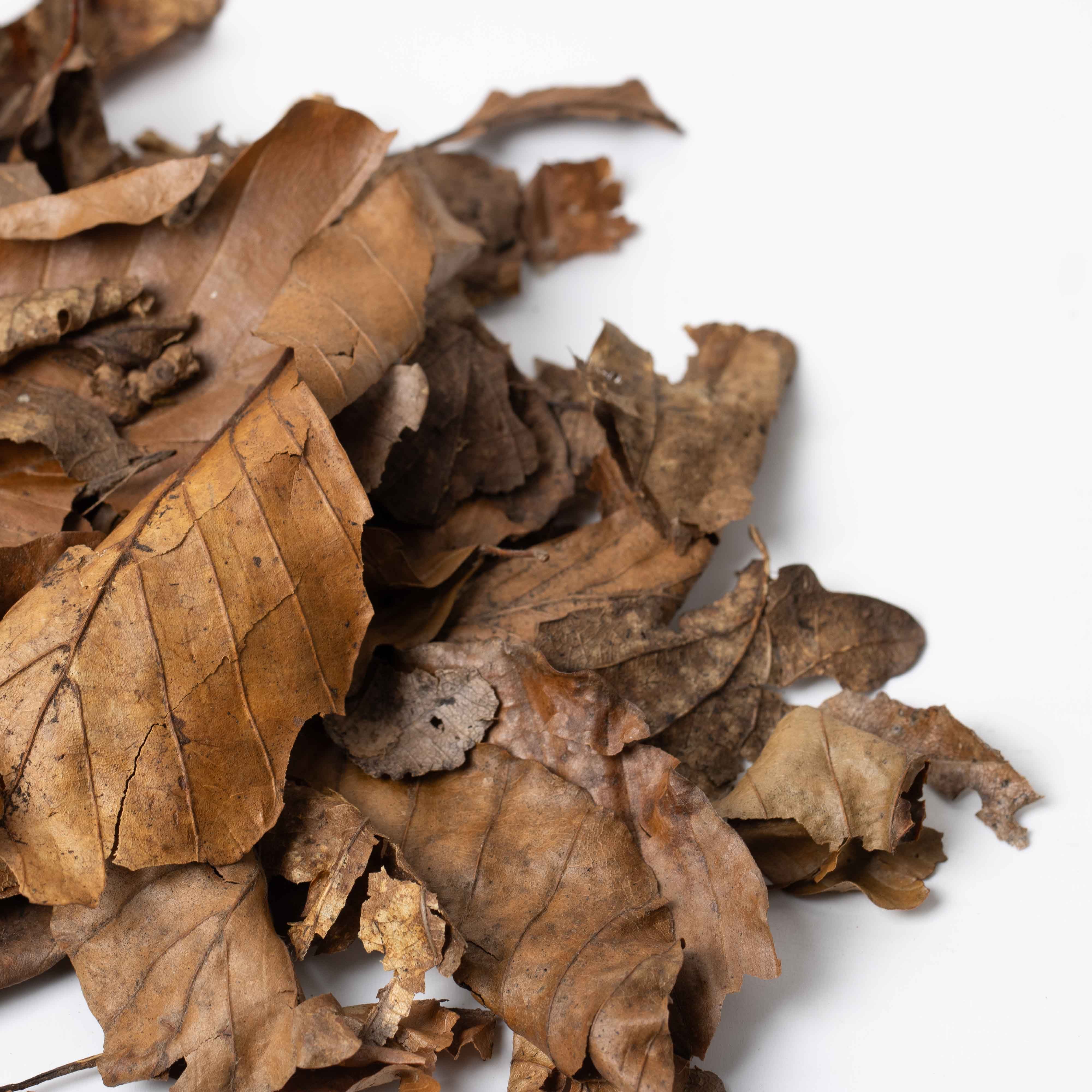 Leaf Litter Mix
