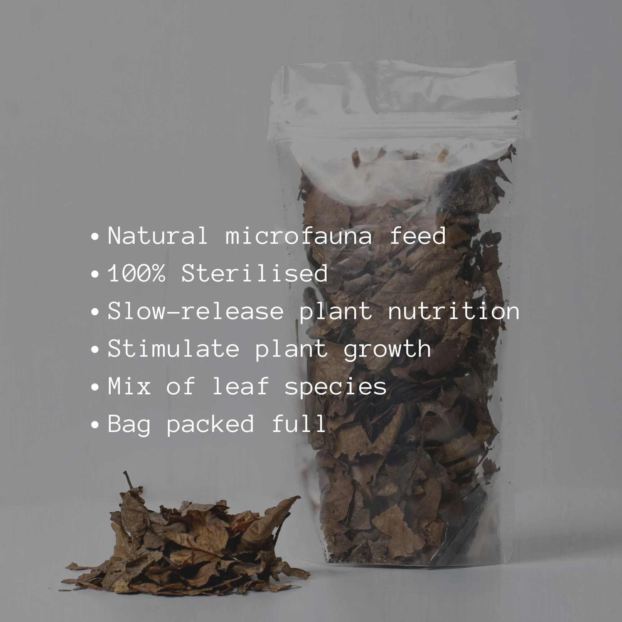 Leaf Litter Mix - Image 2