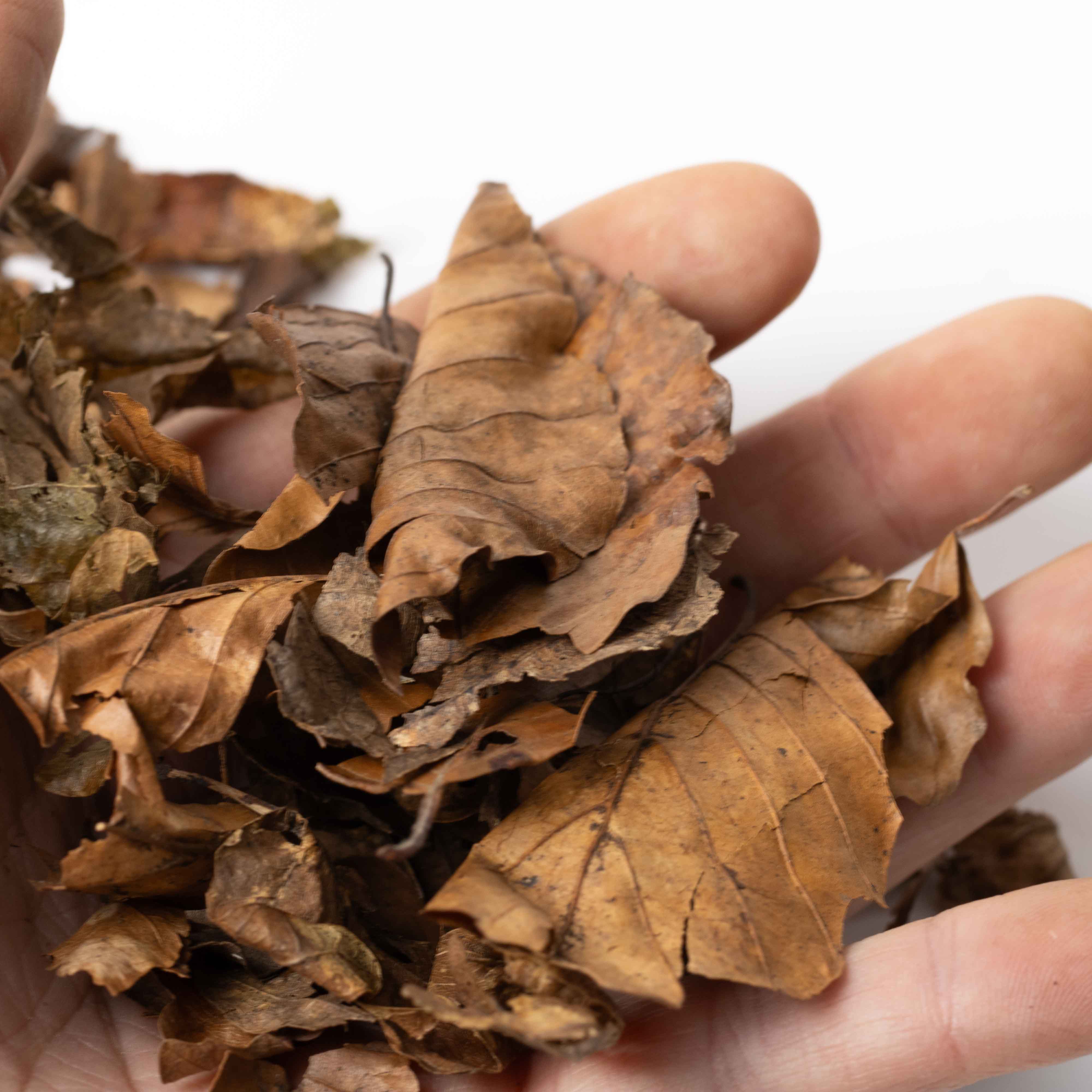 Leaf Litter Mix - Image 4