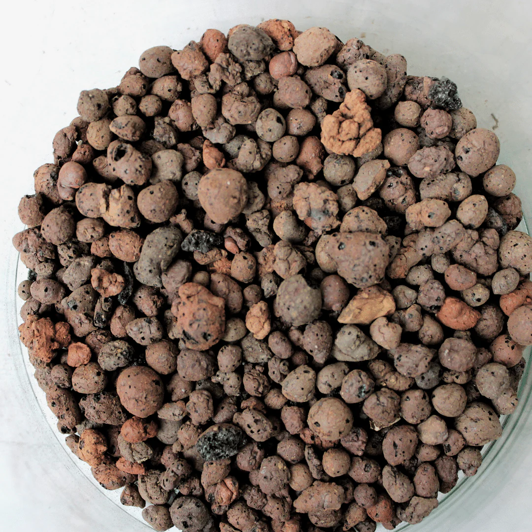 LECA - Image 3