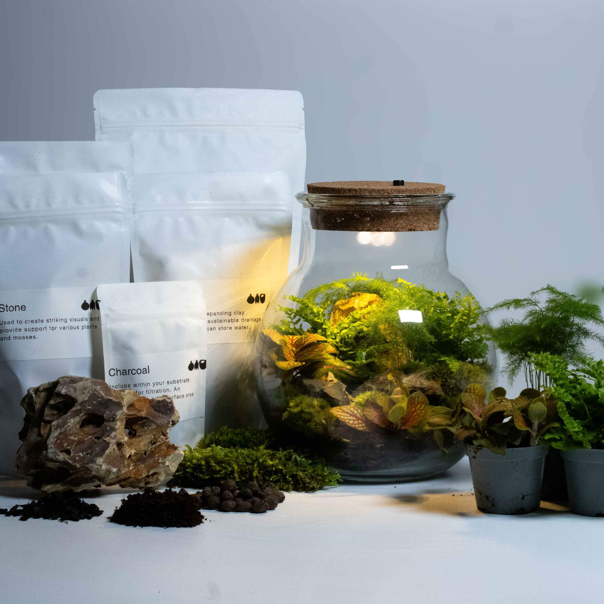 Light-up Terrarium Kit - Image 2