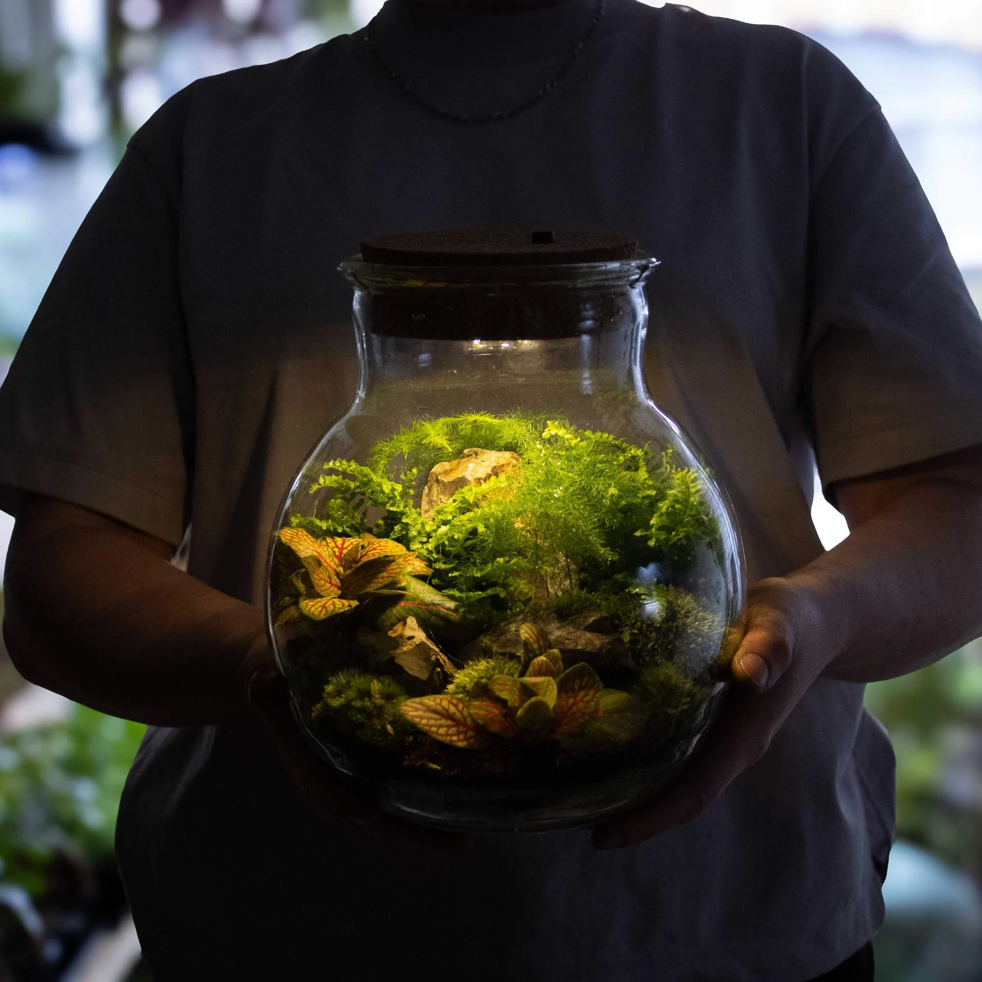 Light-up Terrarium Kit - Image 8