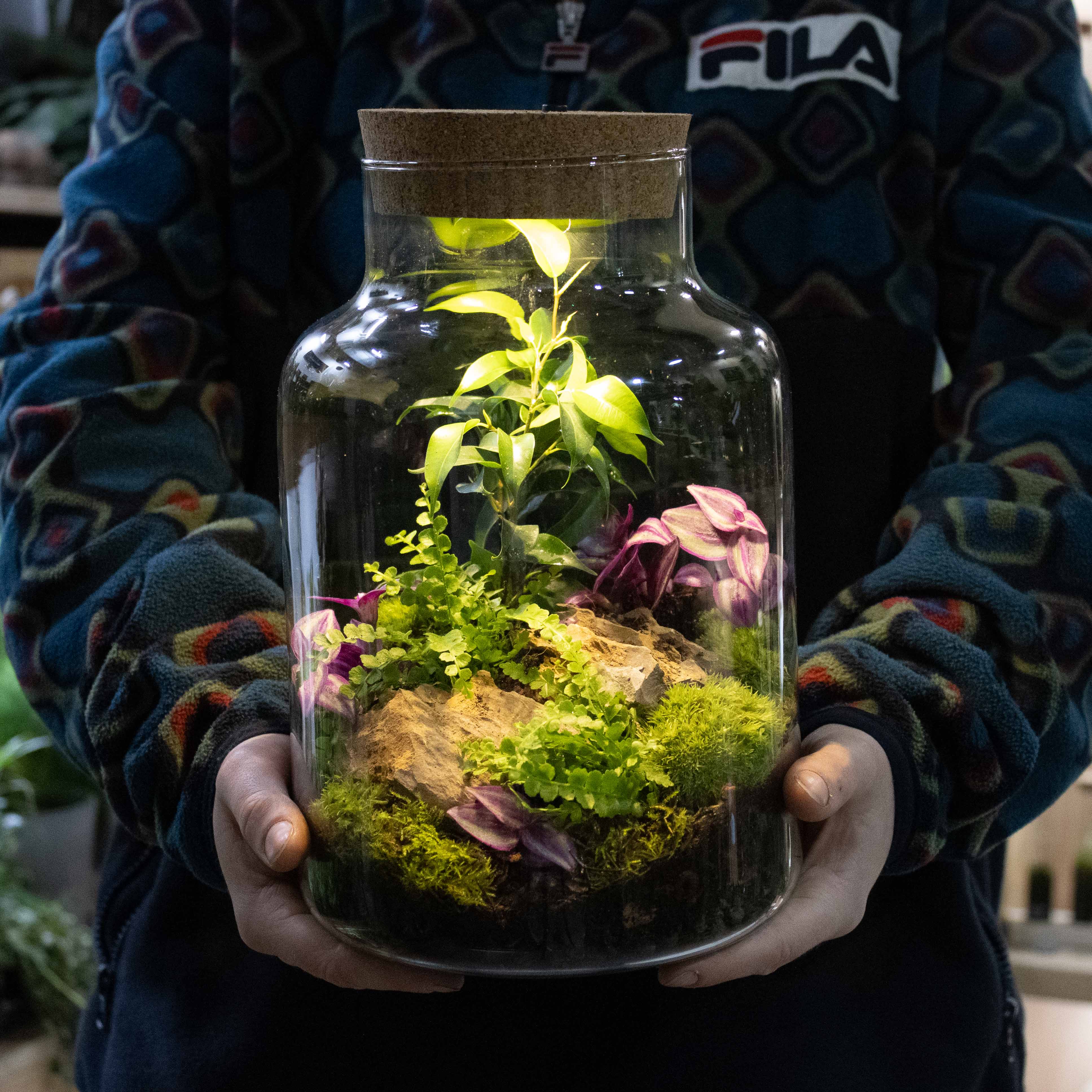 Light-up Terrarium Kit V2 - Image 10
