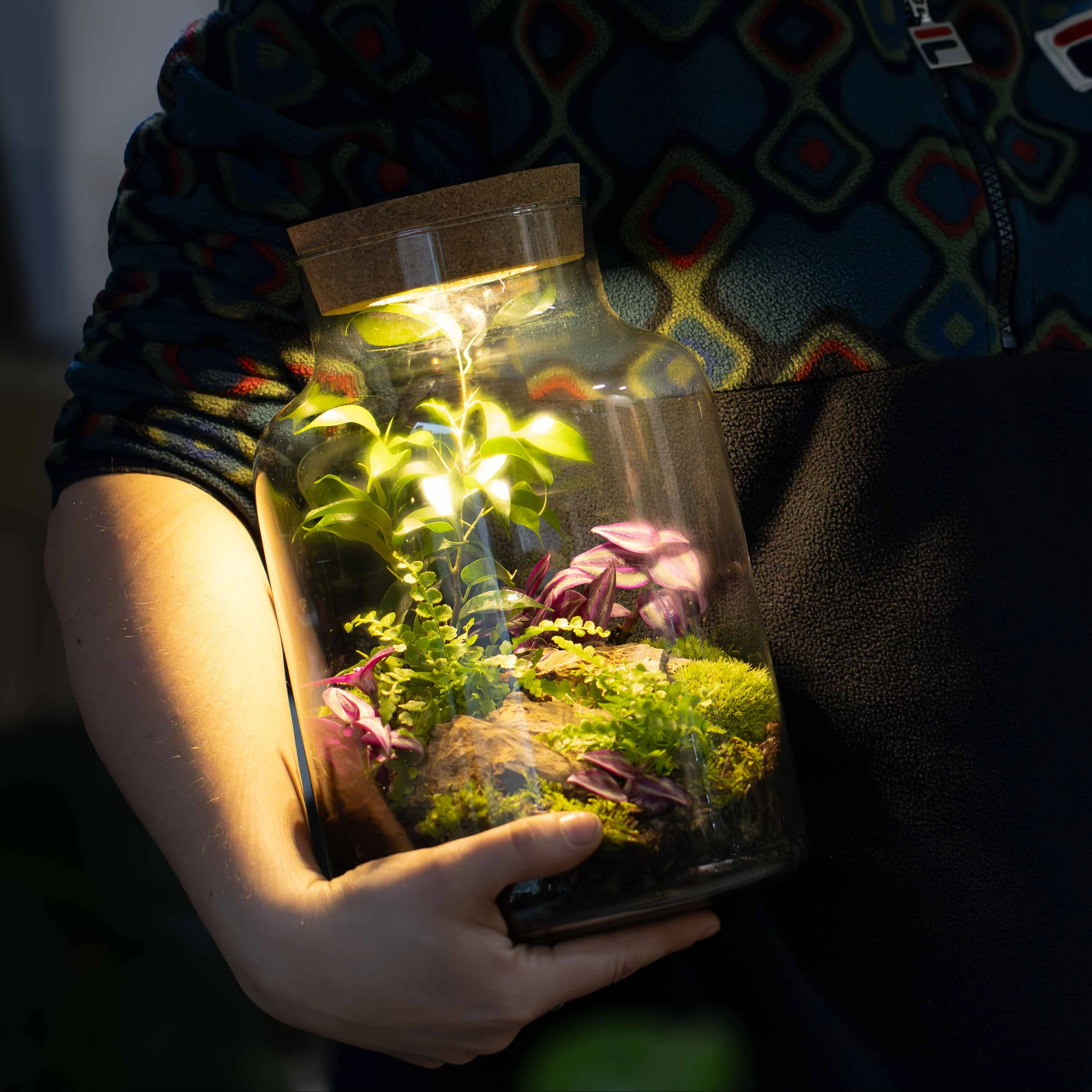 Light-up Terrarium Kit V2 - Image 4