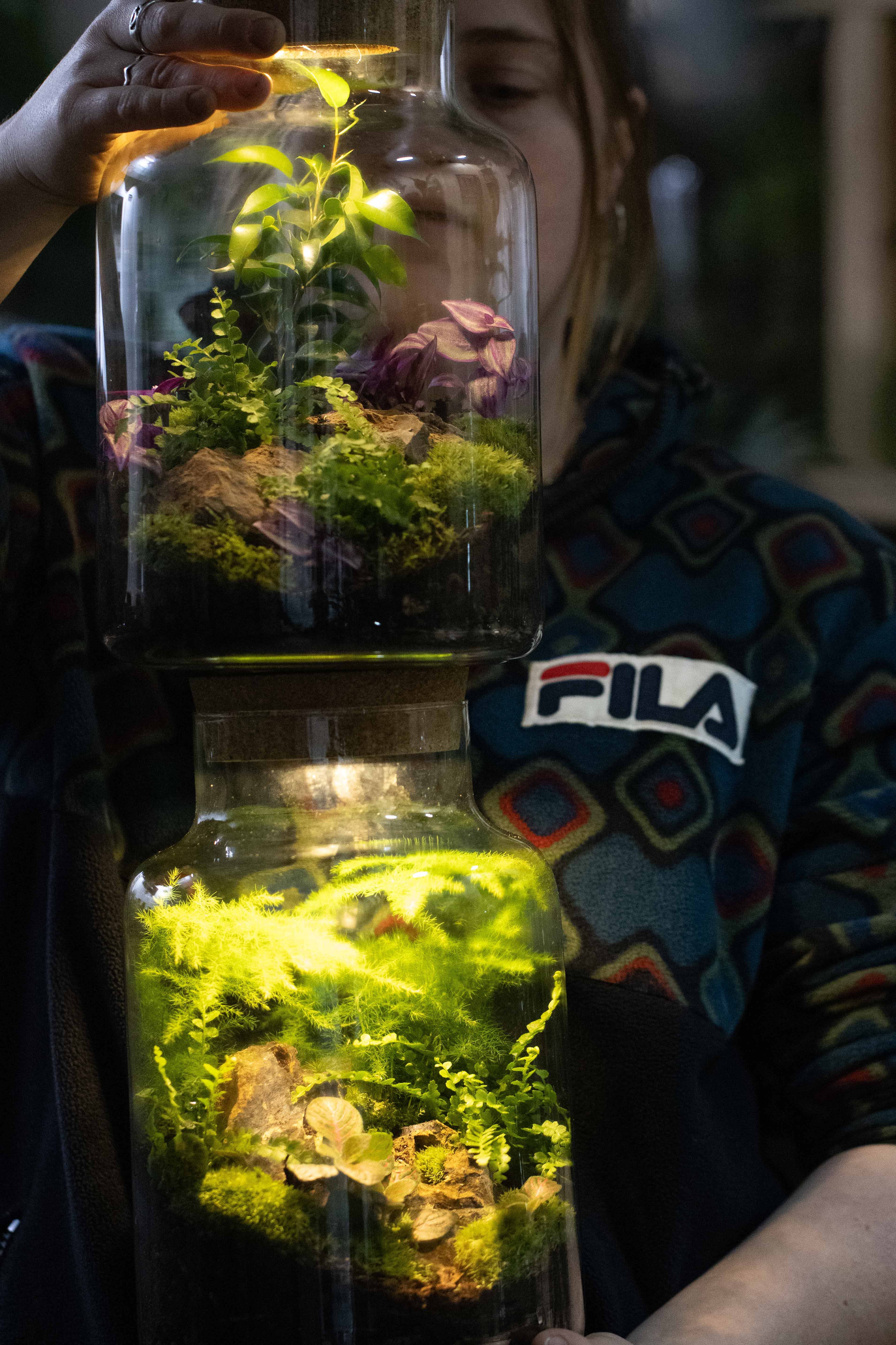 Light-up Terrarium Kit V2 - Image 5