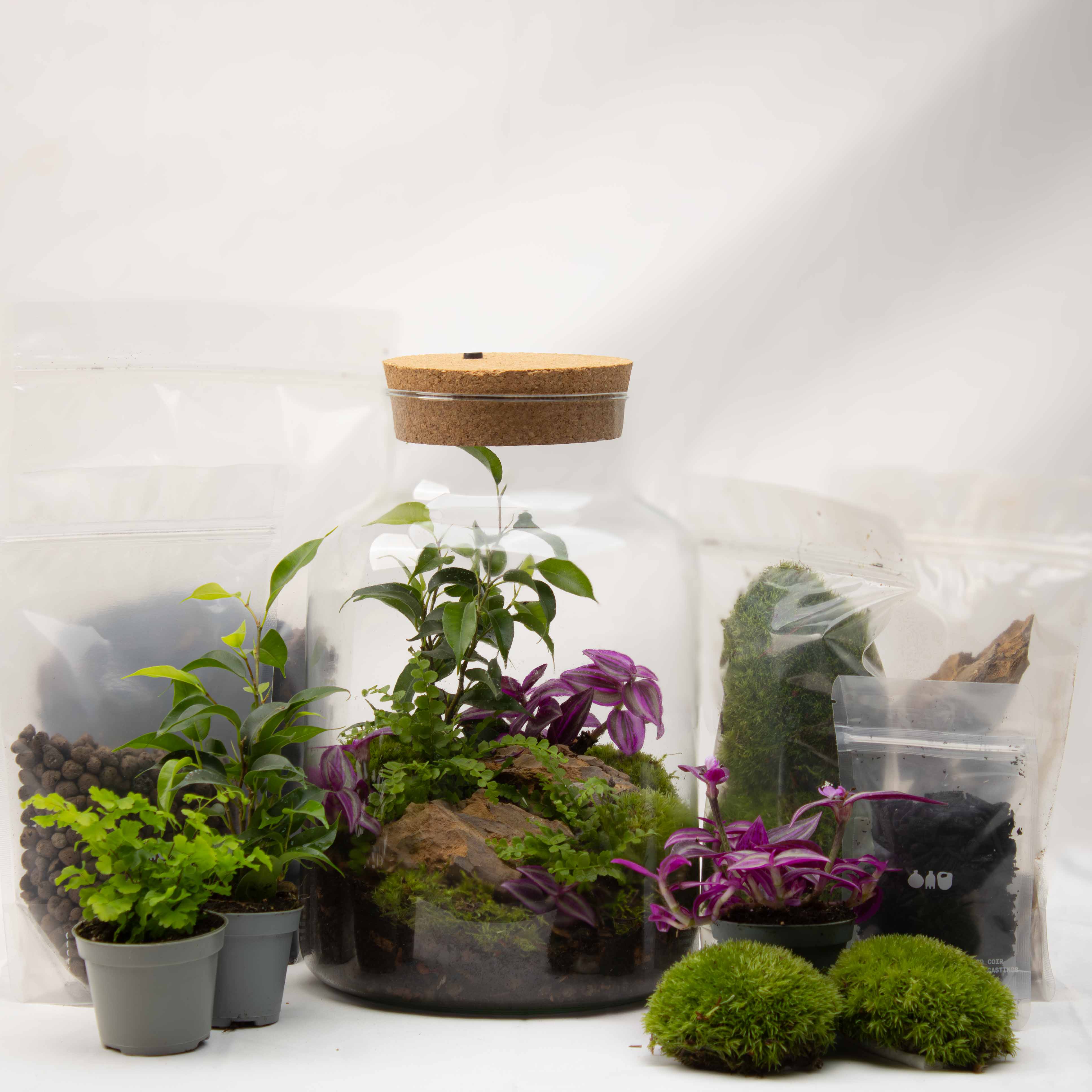Light-up Terrarium Kit V2 - Image 6