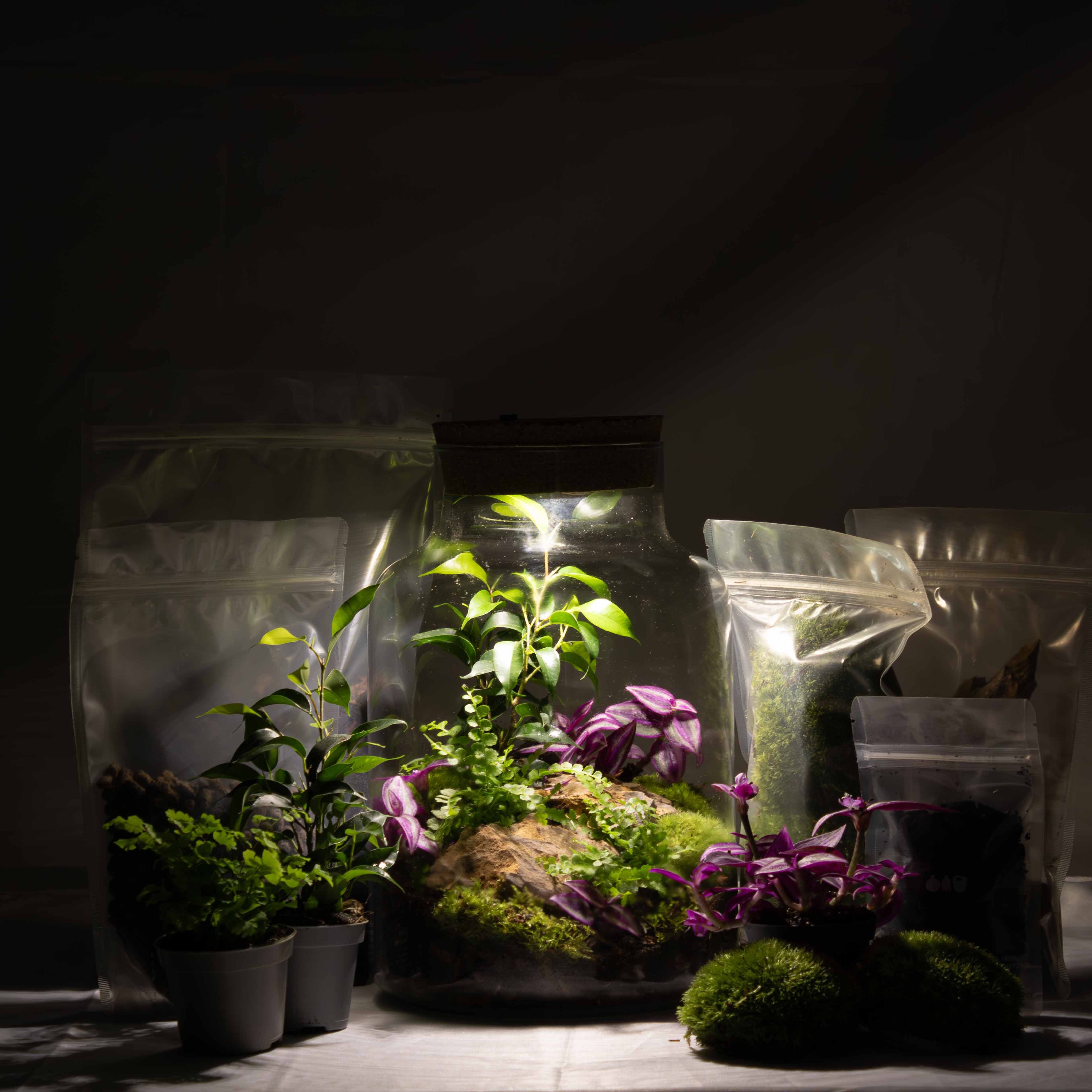 Light-up Terrarium Kit V2 - Image 7