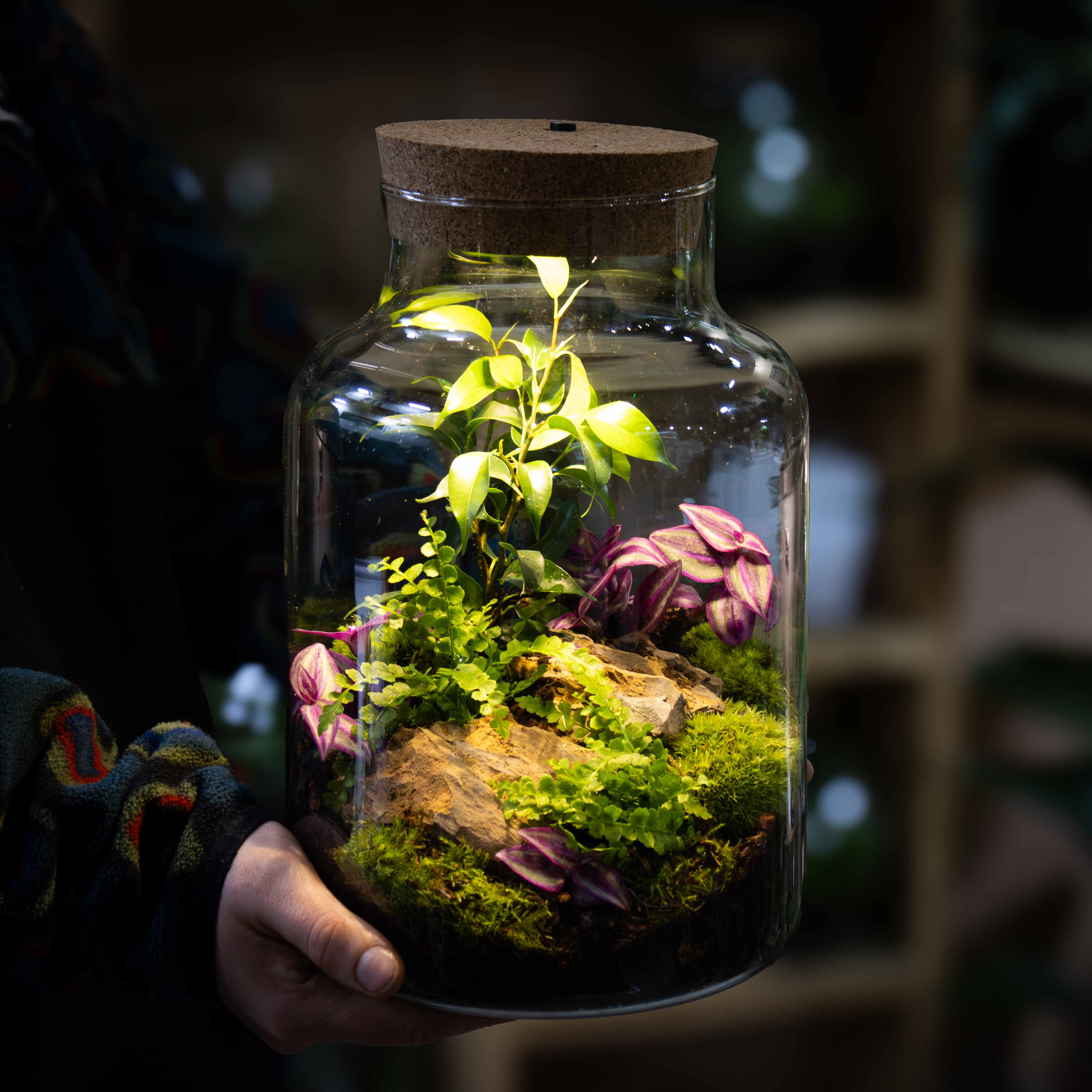 Light-up Terrarium Kit V2 - Image 9