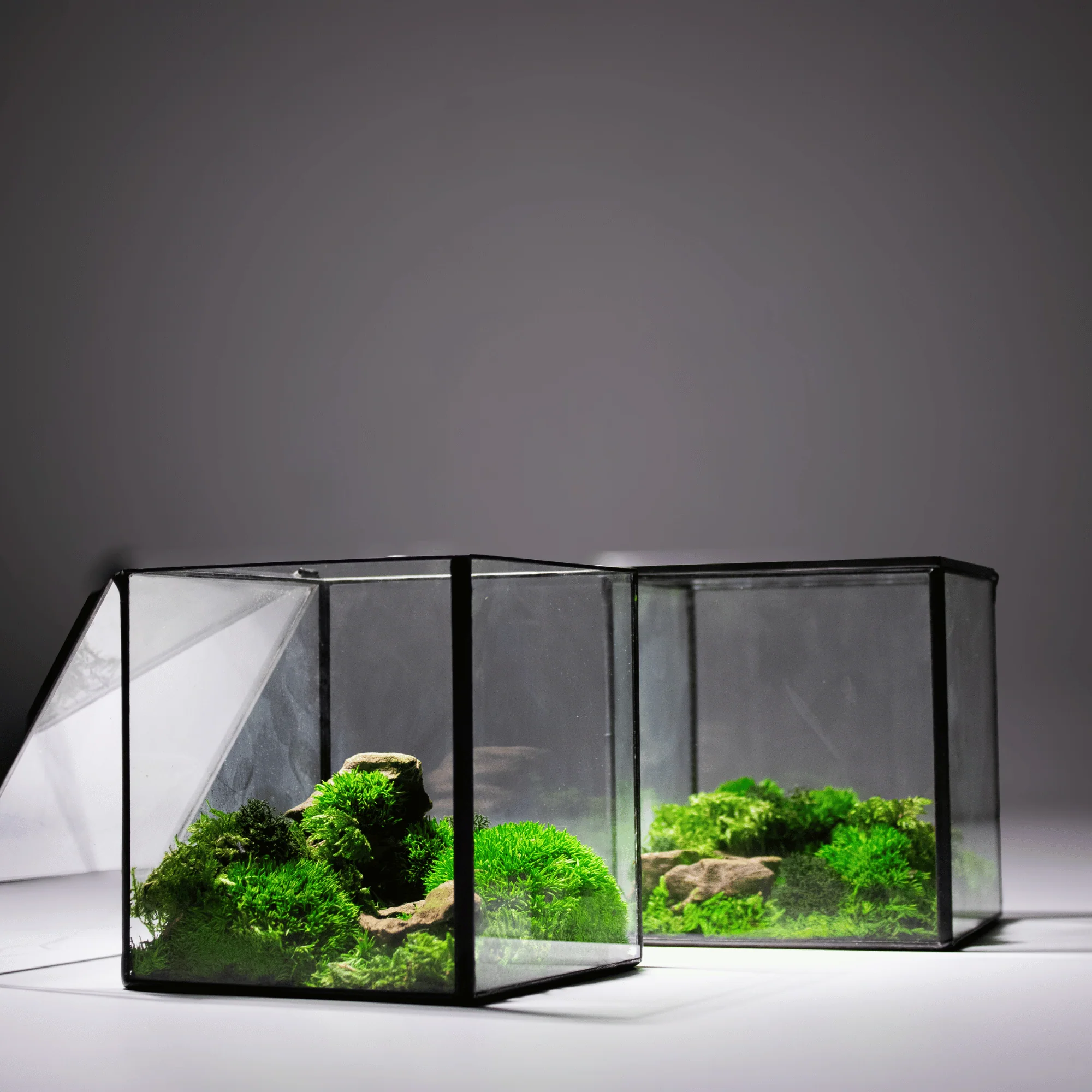 Mini Moss Cube - Image 7