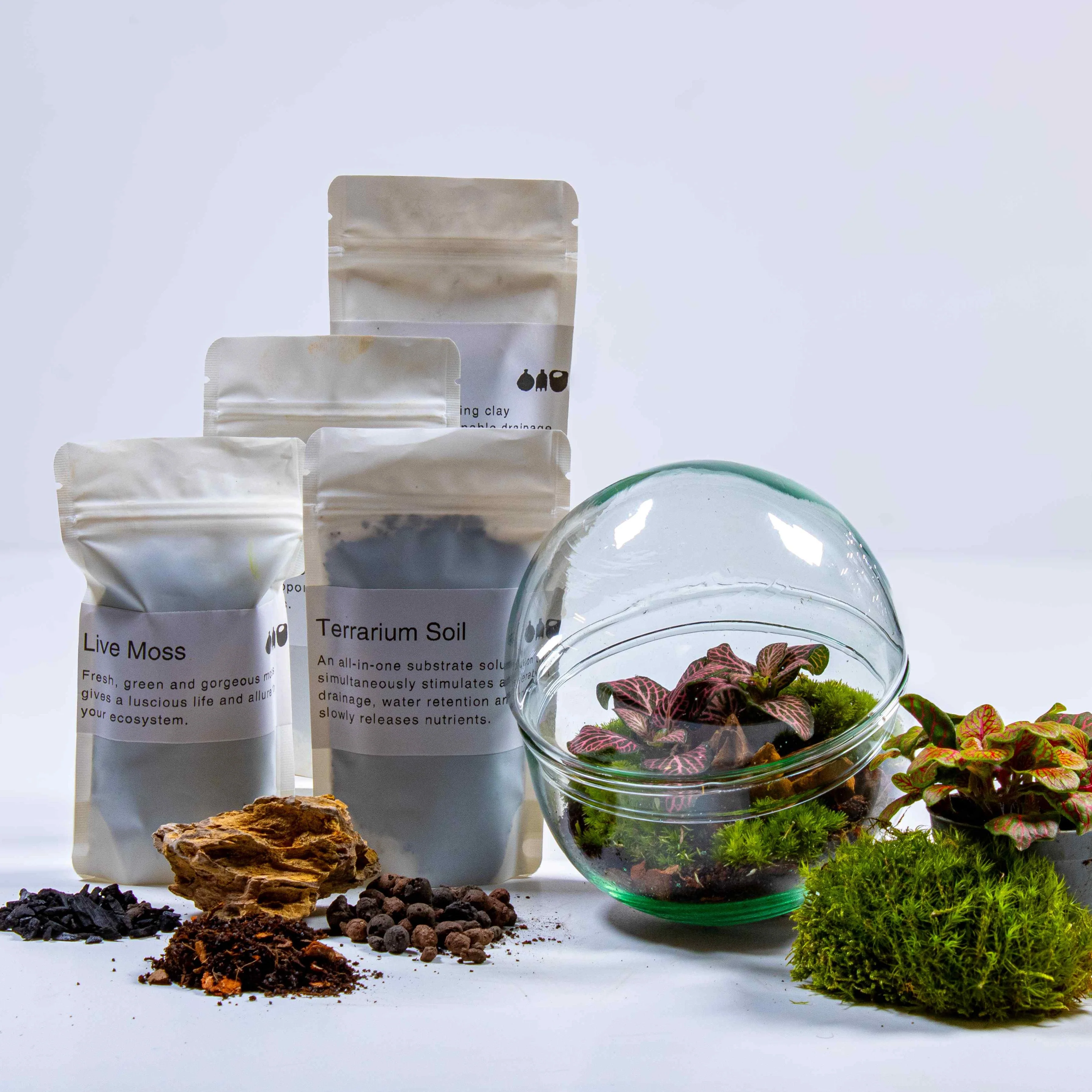 Mini Orb Terrarium Kit - Image 2