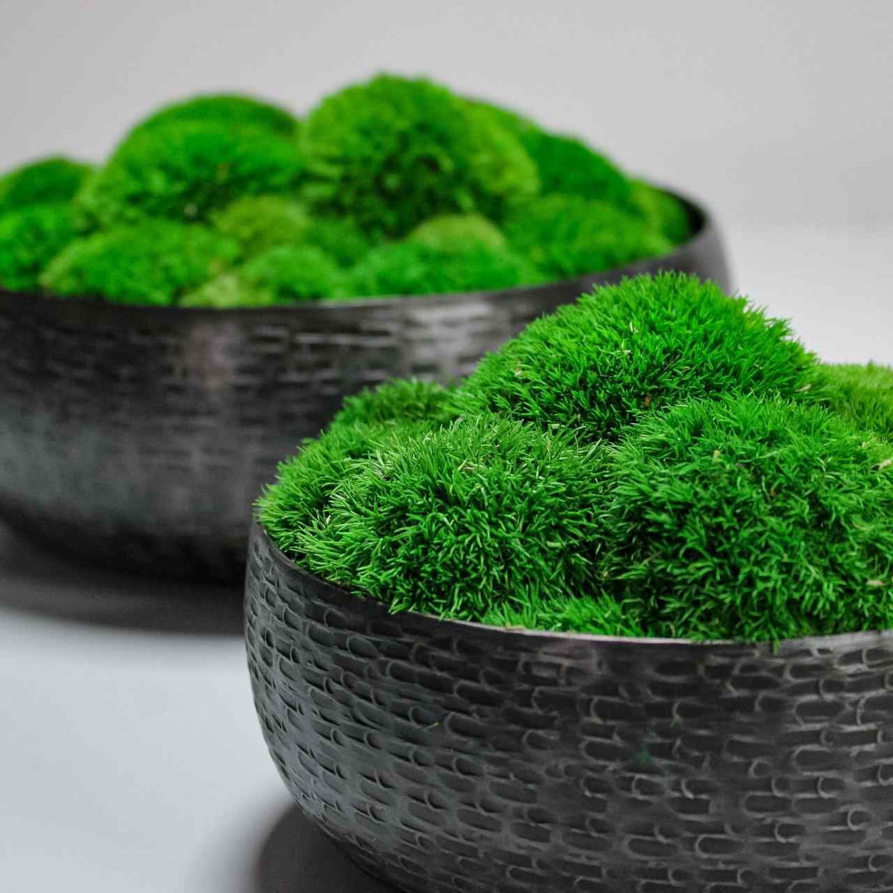 Moss Bowl - Image 3