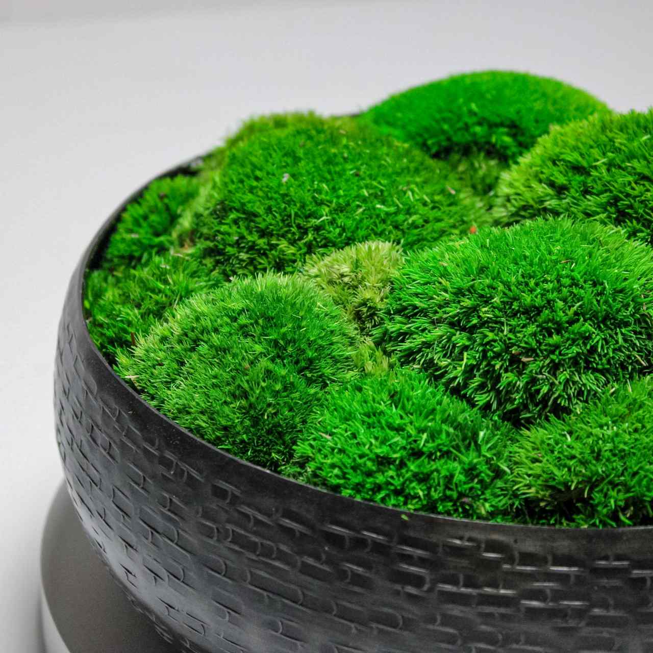 Moss Bowl - Image 4