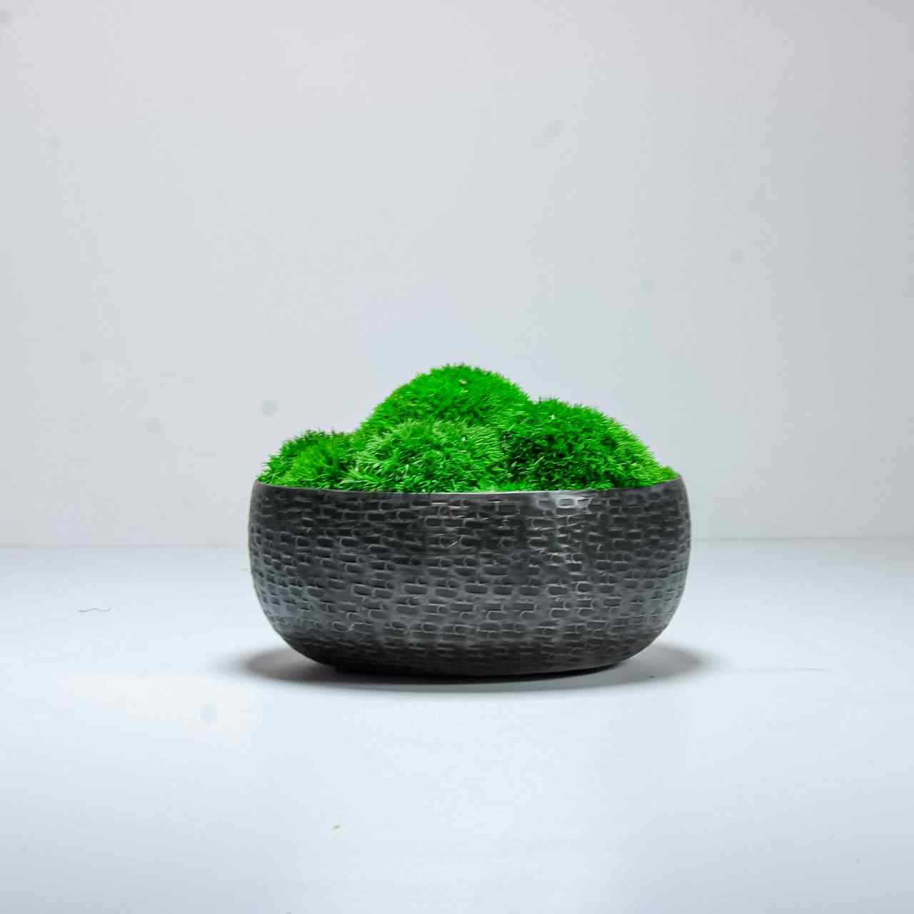 Moss Bowl - Image 5