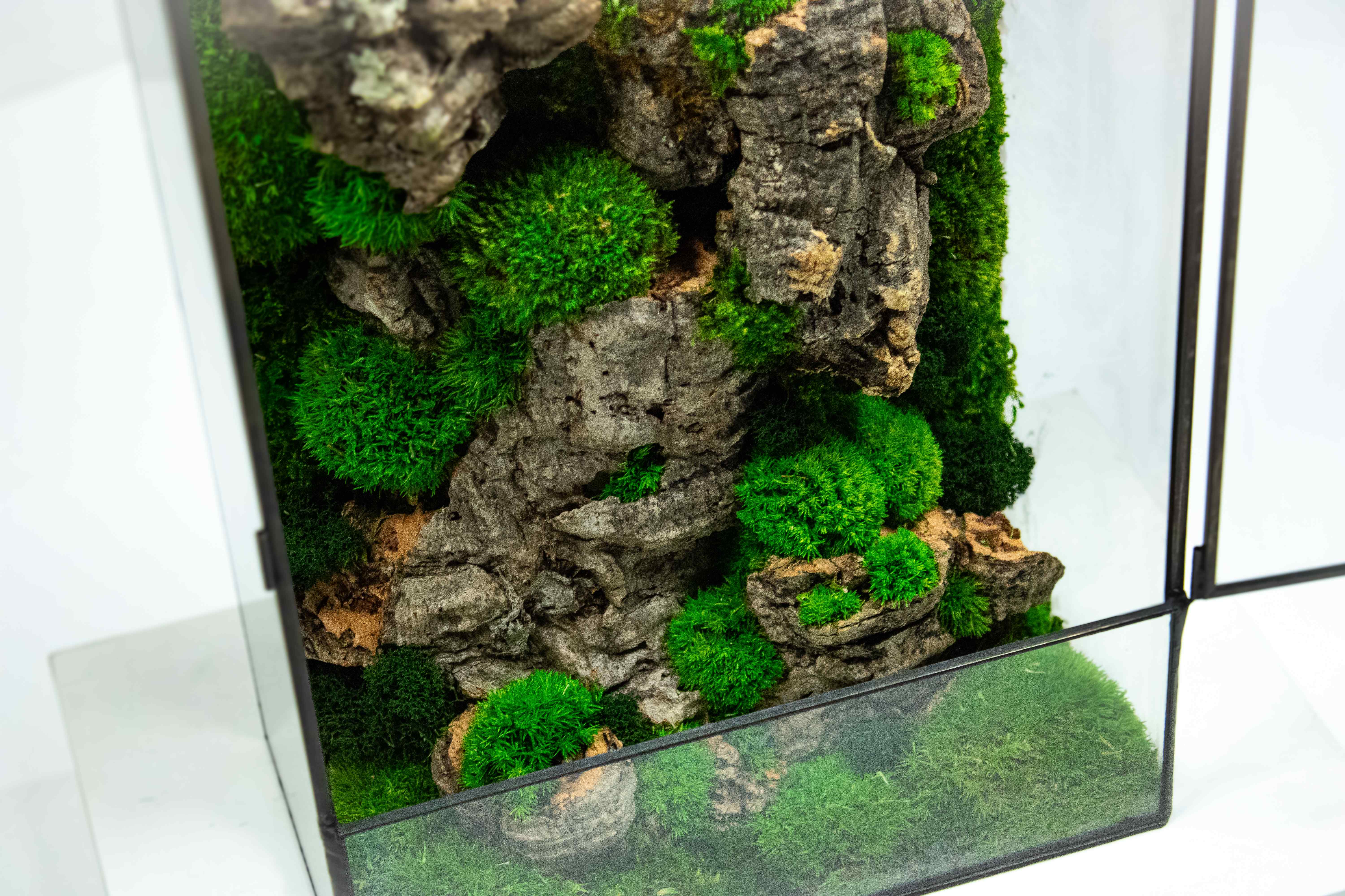 Moss Box - Image 6
