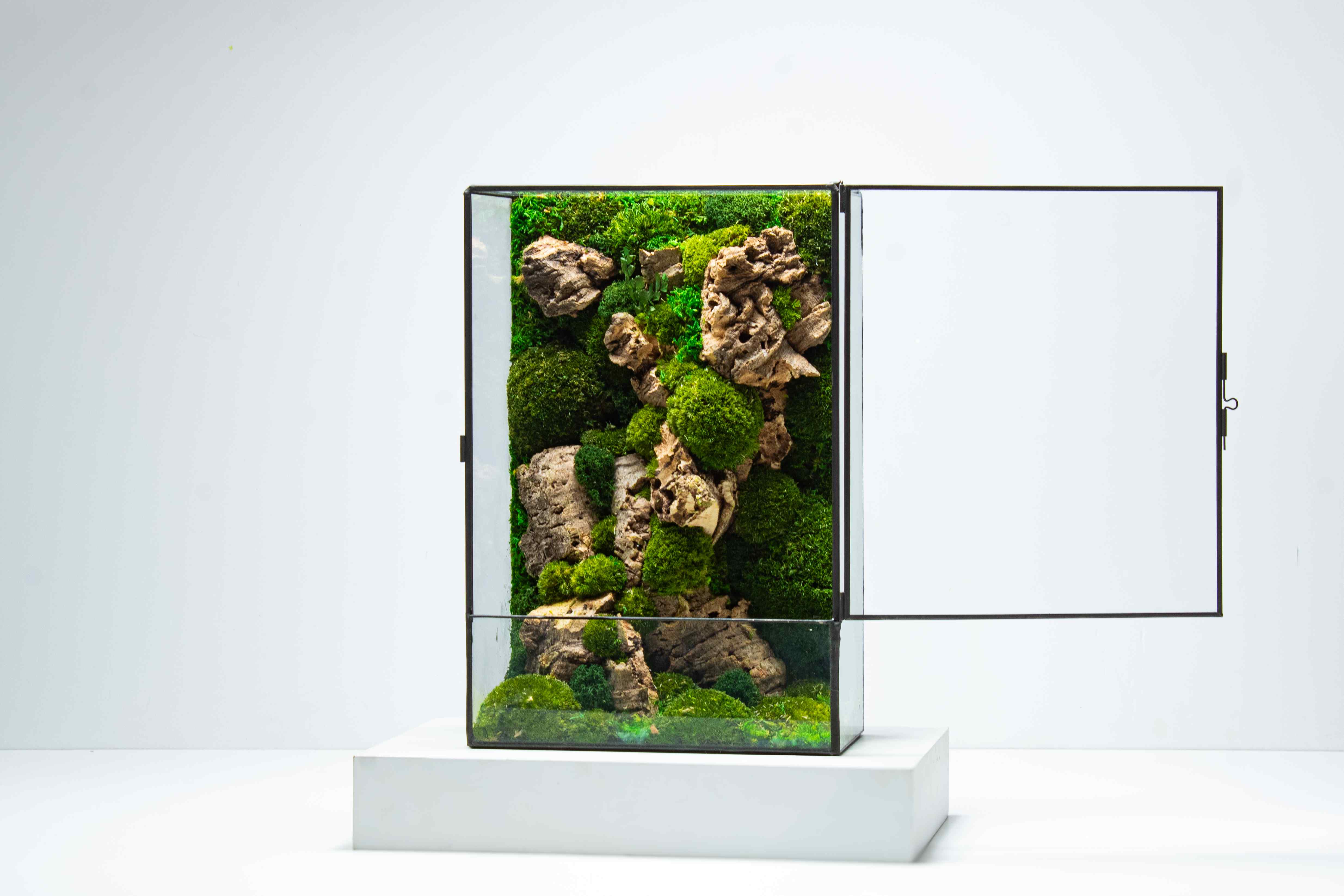 Moss Box - Image 7
