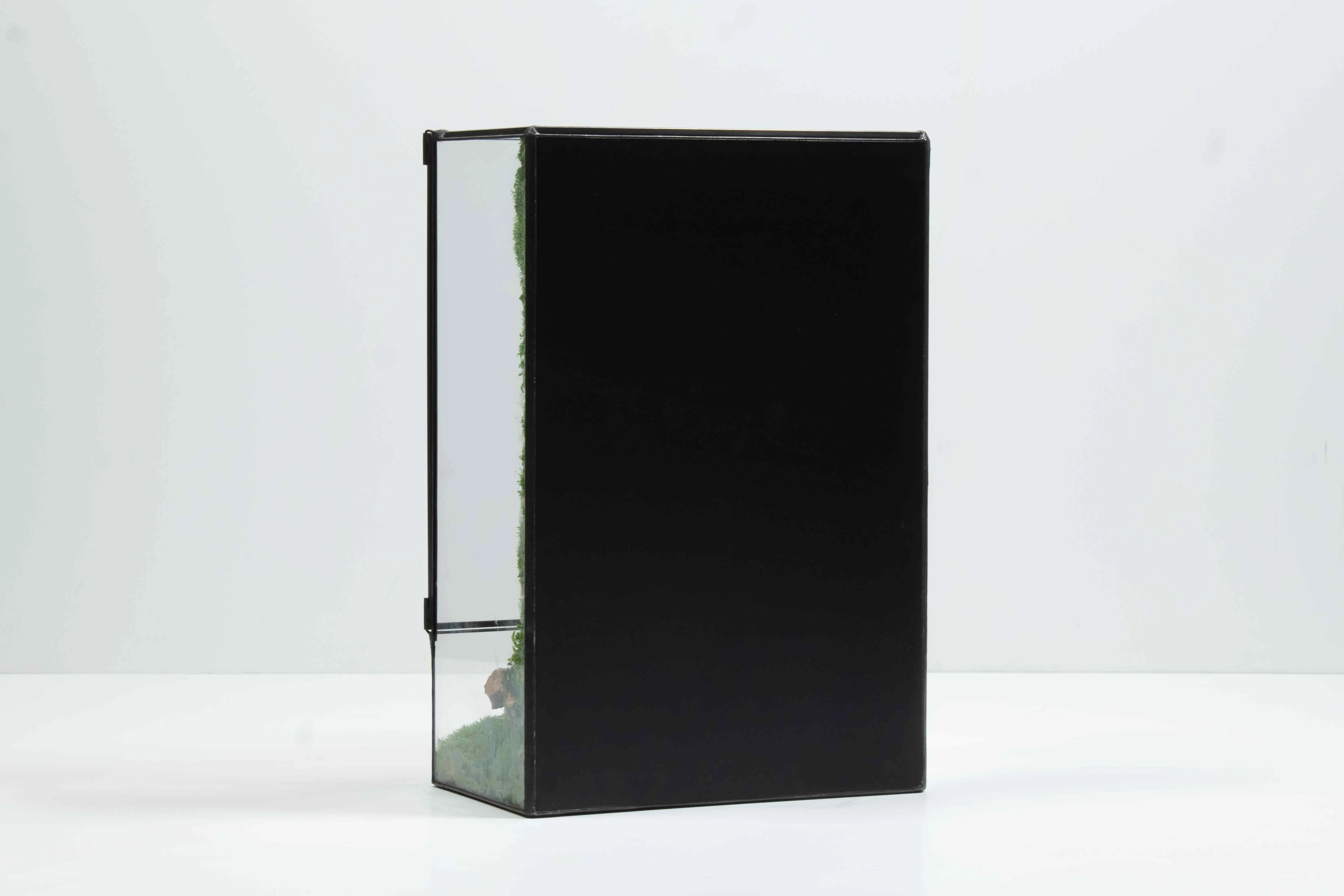 Moss Box - Image 8