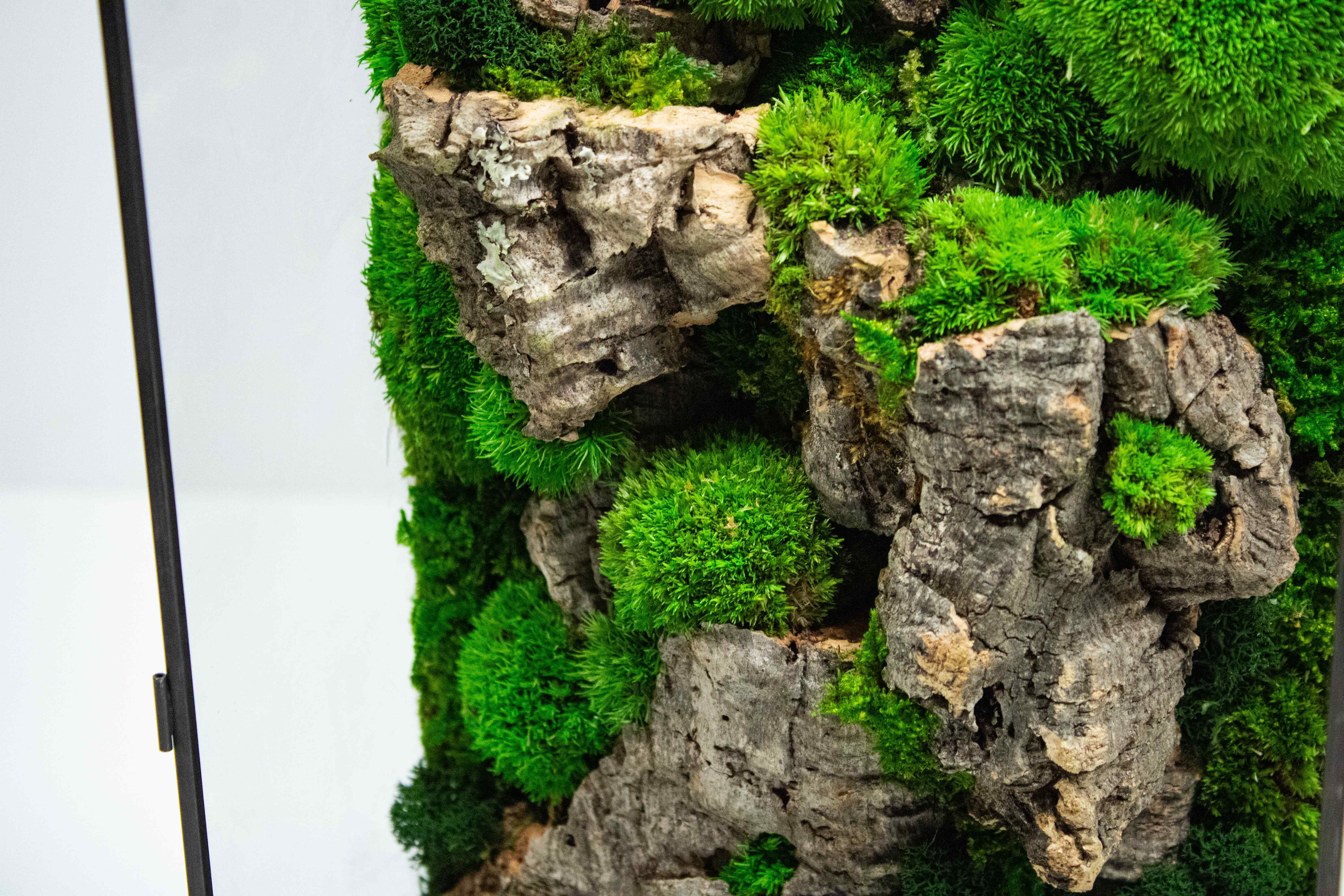 Moss Box - Image 9